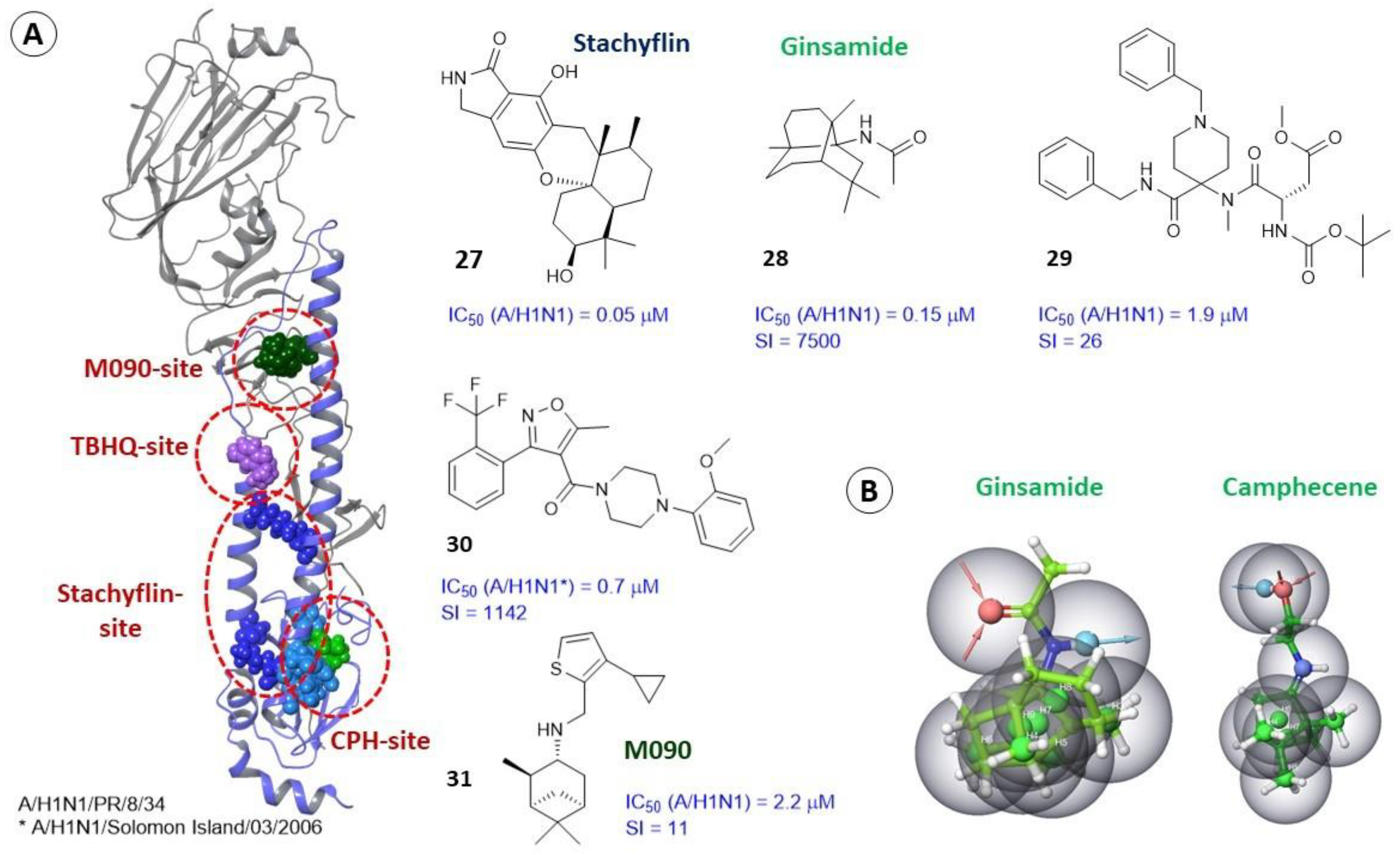 Viruses 15 00902 g009