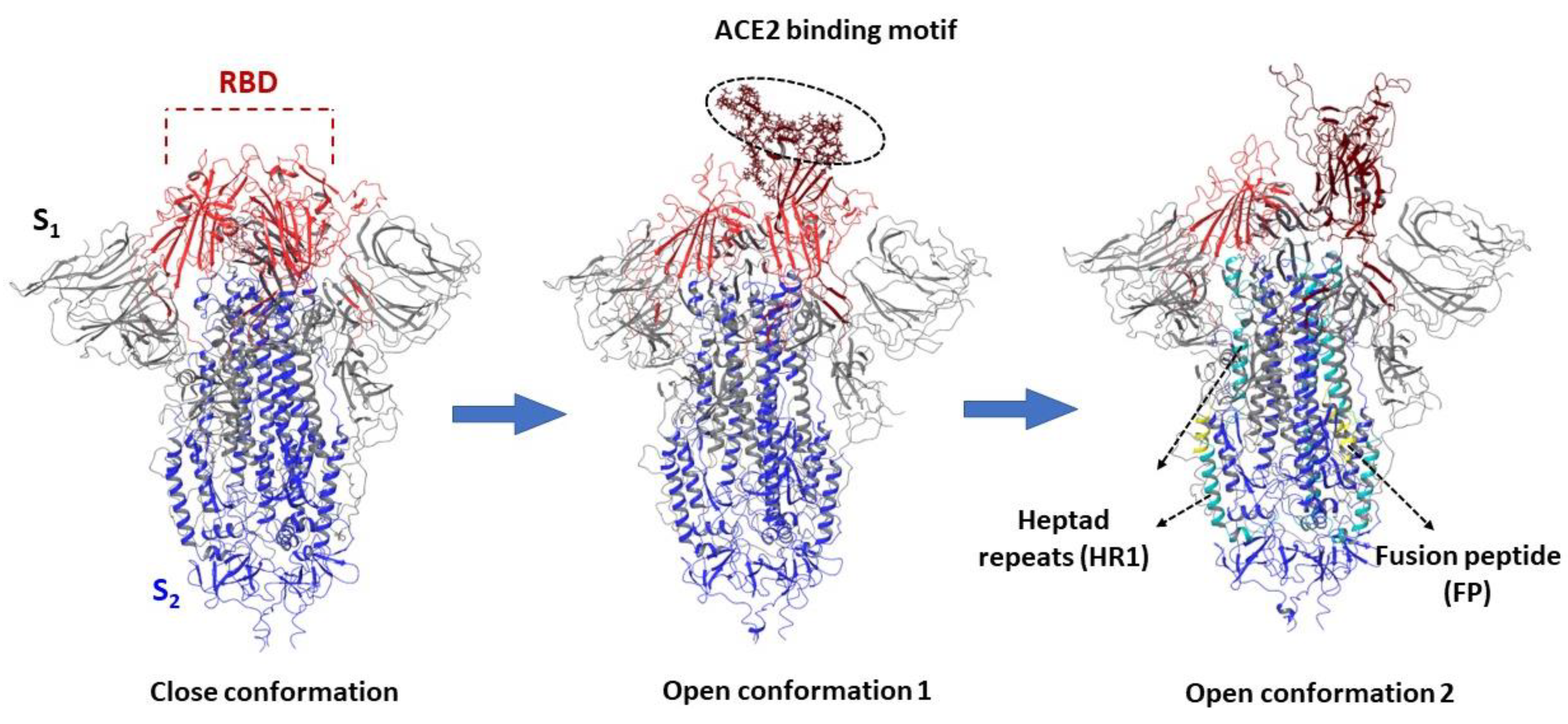 Viruses 15 00902 g010