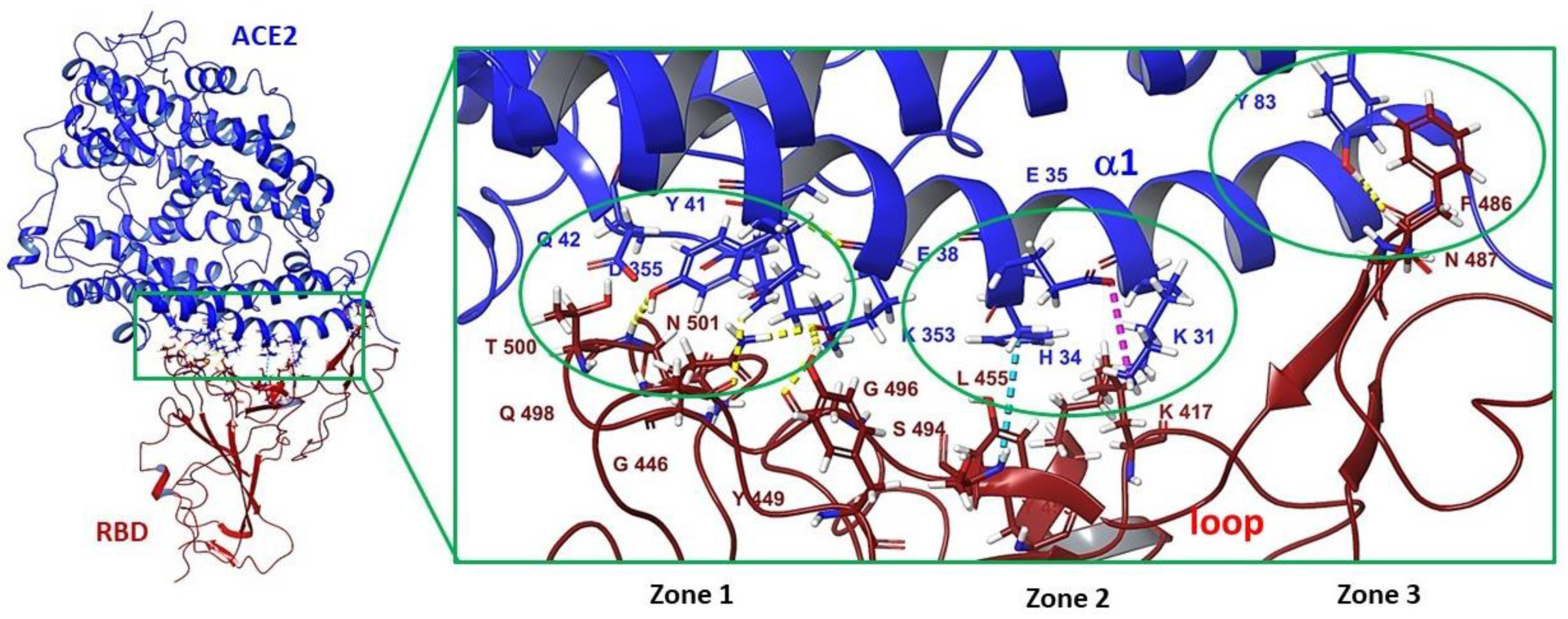 Viruses 15 00902 g011