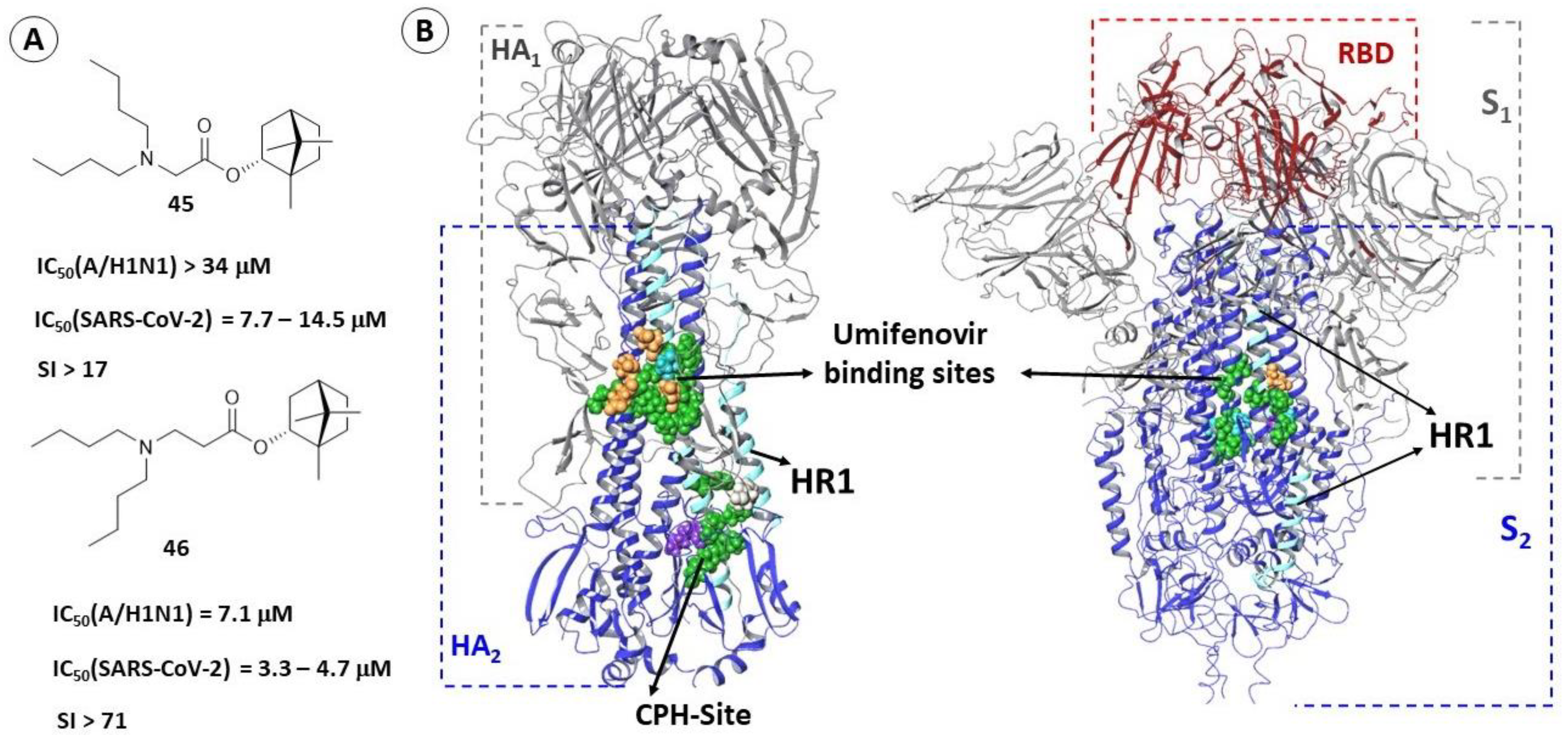 Viruses 15 00902 g016