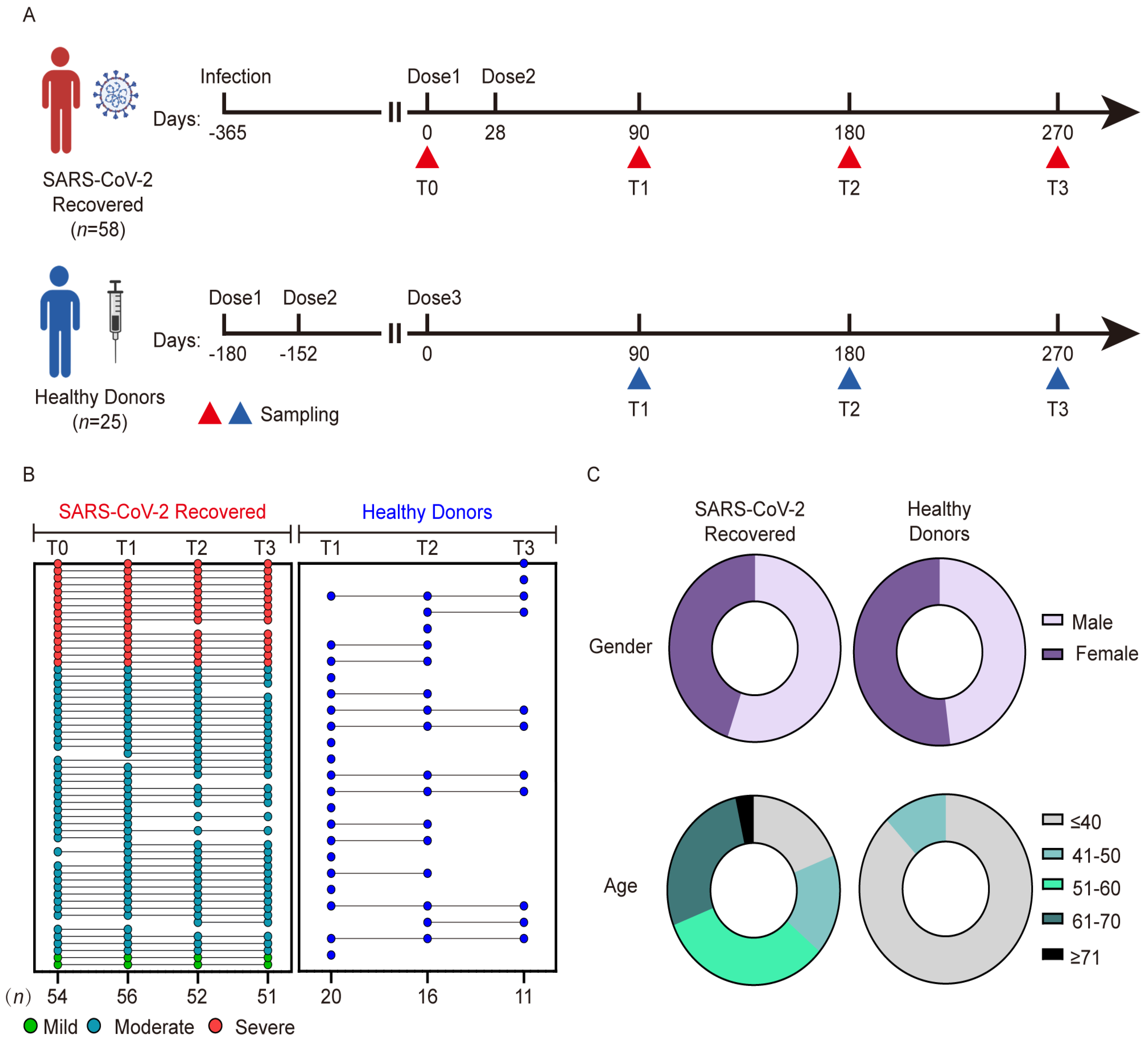 Immunological memory to SARS-CoV-2 assessed for up to 8 months after  infection