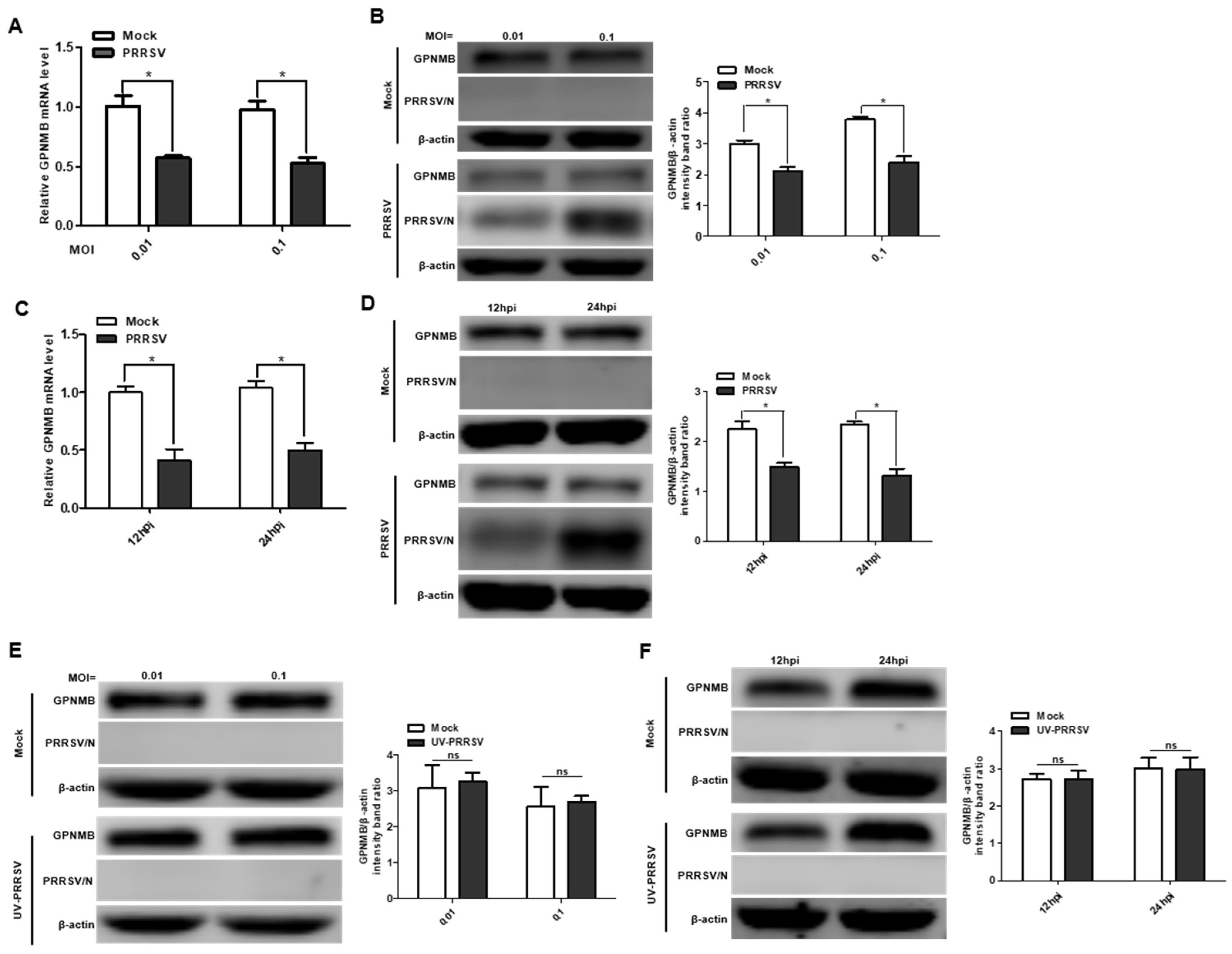 Viruses 15 00920 g001 Viruses 15 00920 g001