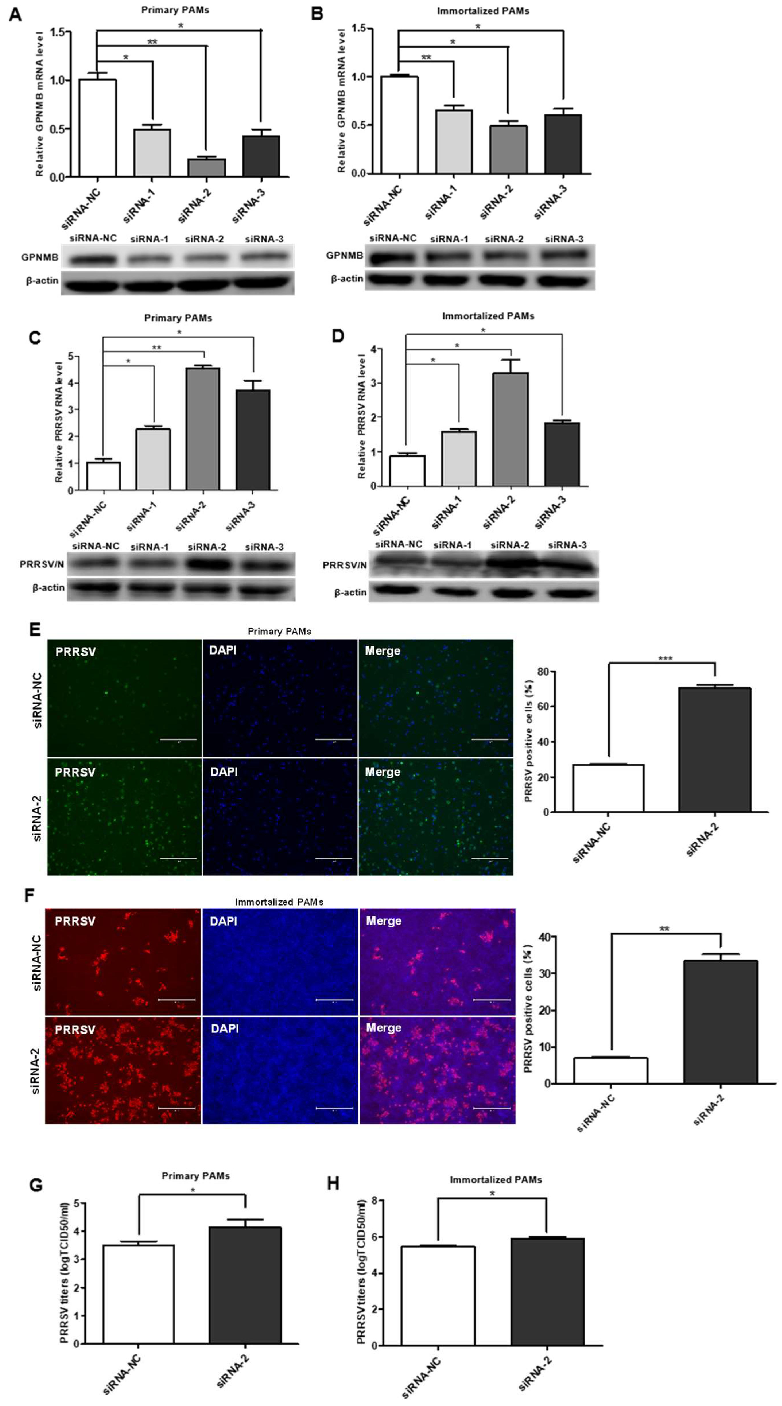 Viruses 15 00920 g002 Viruses 15 00920 g002