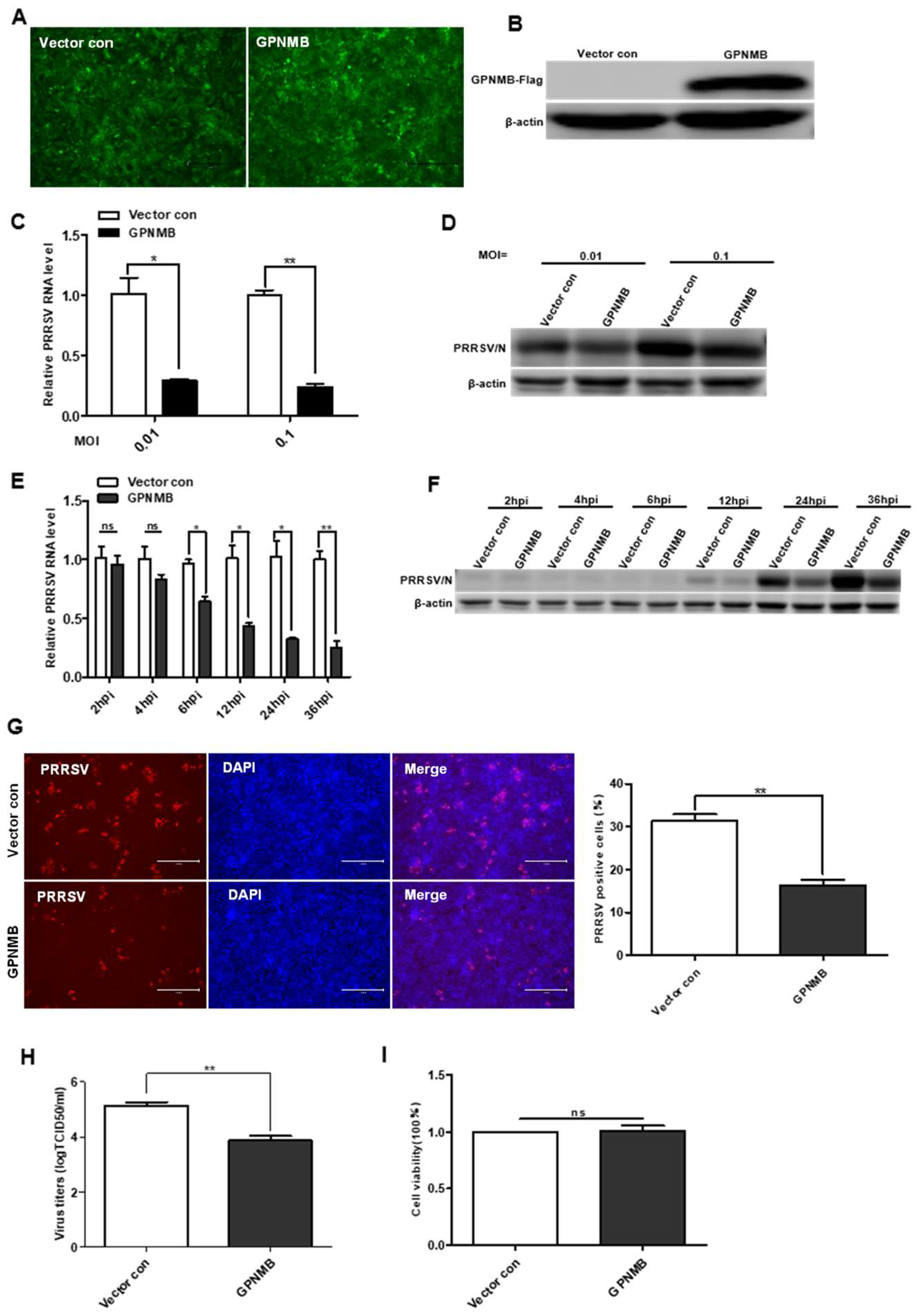 Viruses 15 00920 g003 Viruses 15 00920 g003