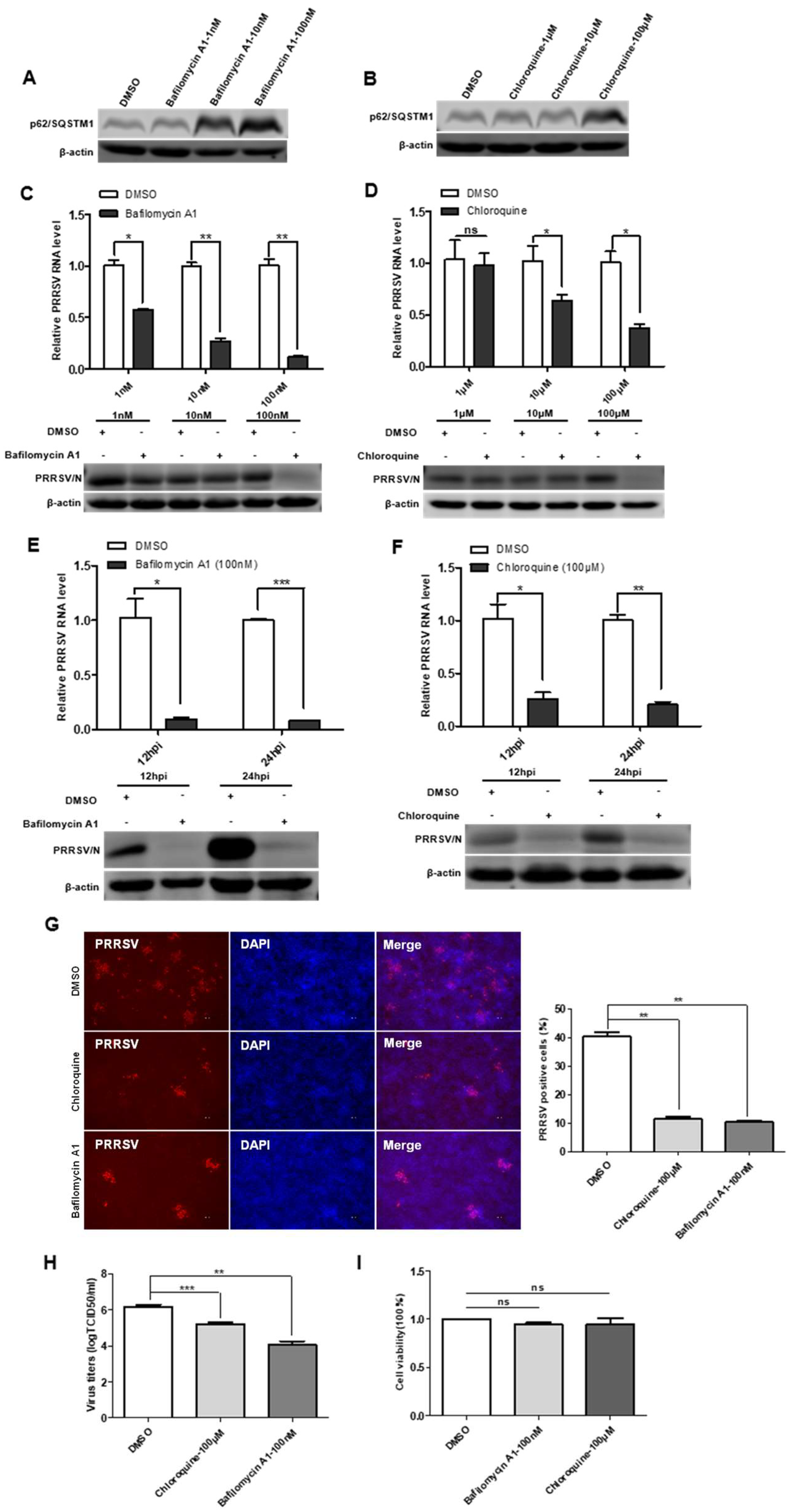 Viruses 15 00920 g006 Viruses 15 00920 g006