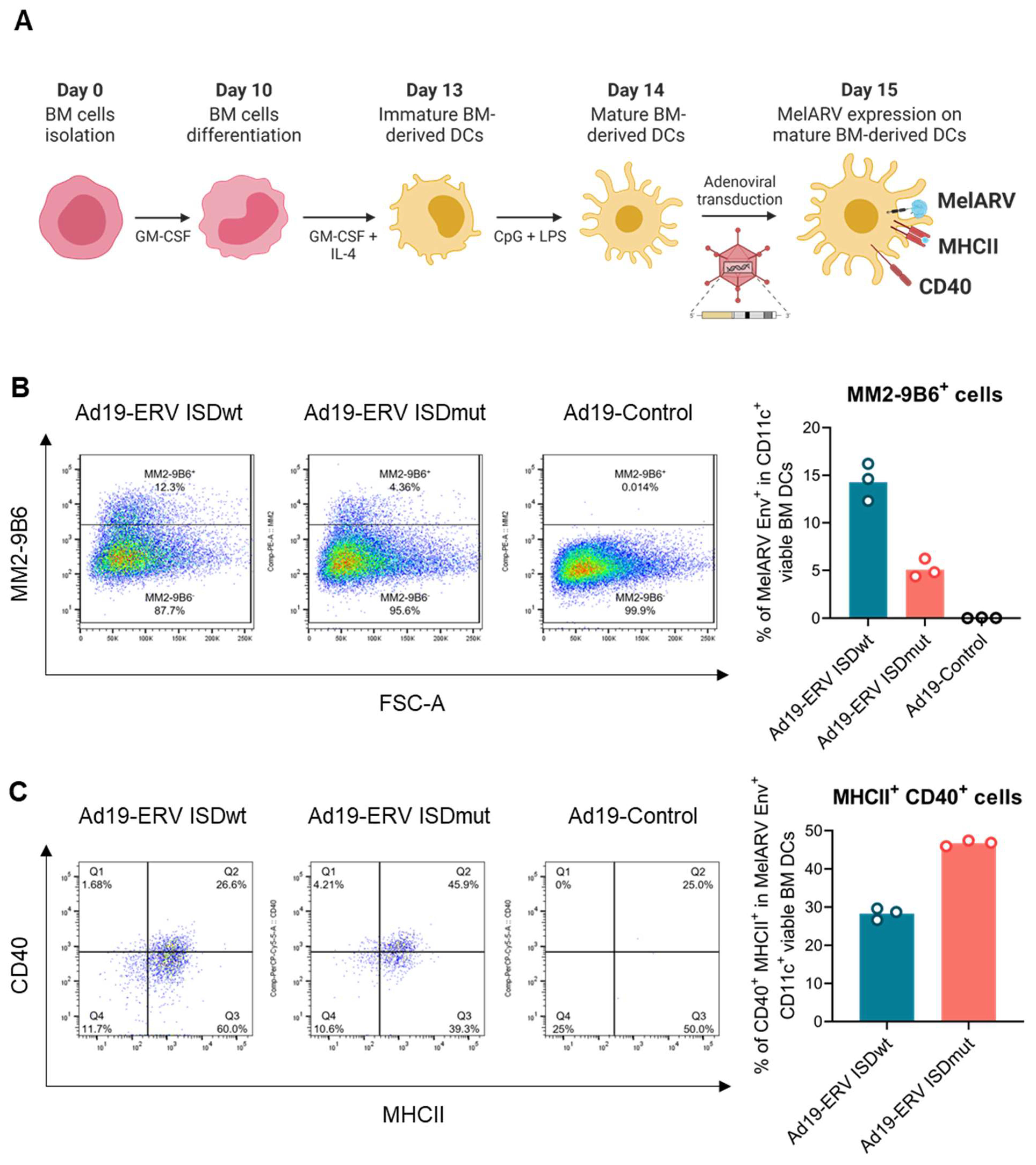 Viruses 15 00926 g002a