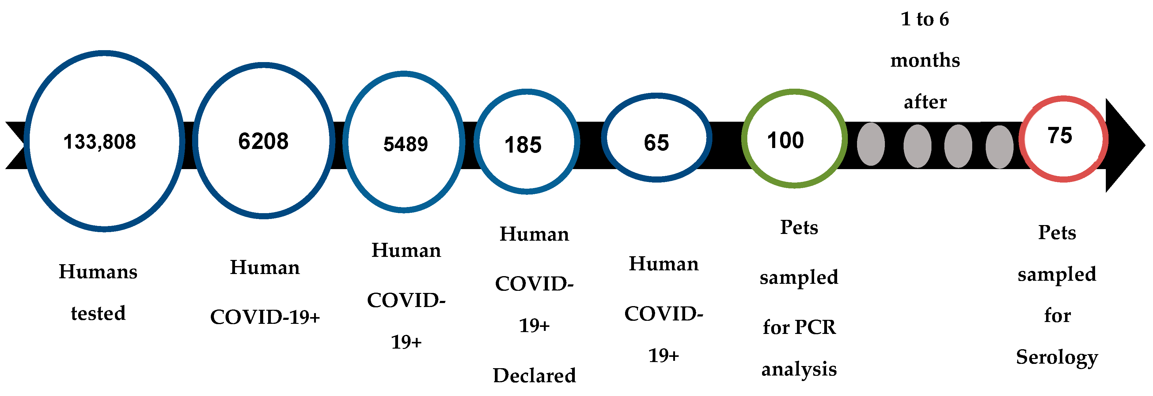 Viruses 15 00933 g002 Viruses 15 00933 g002