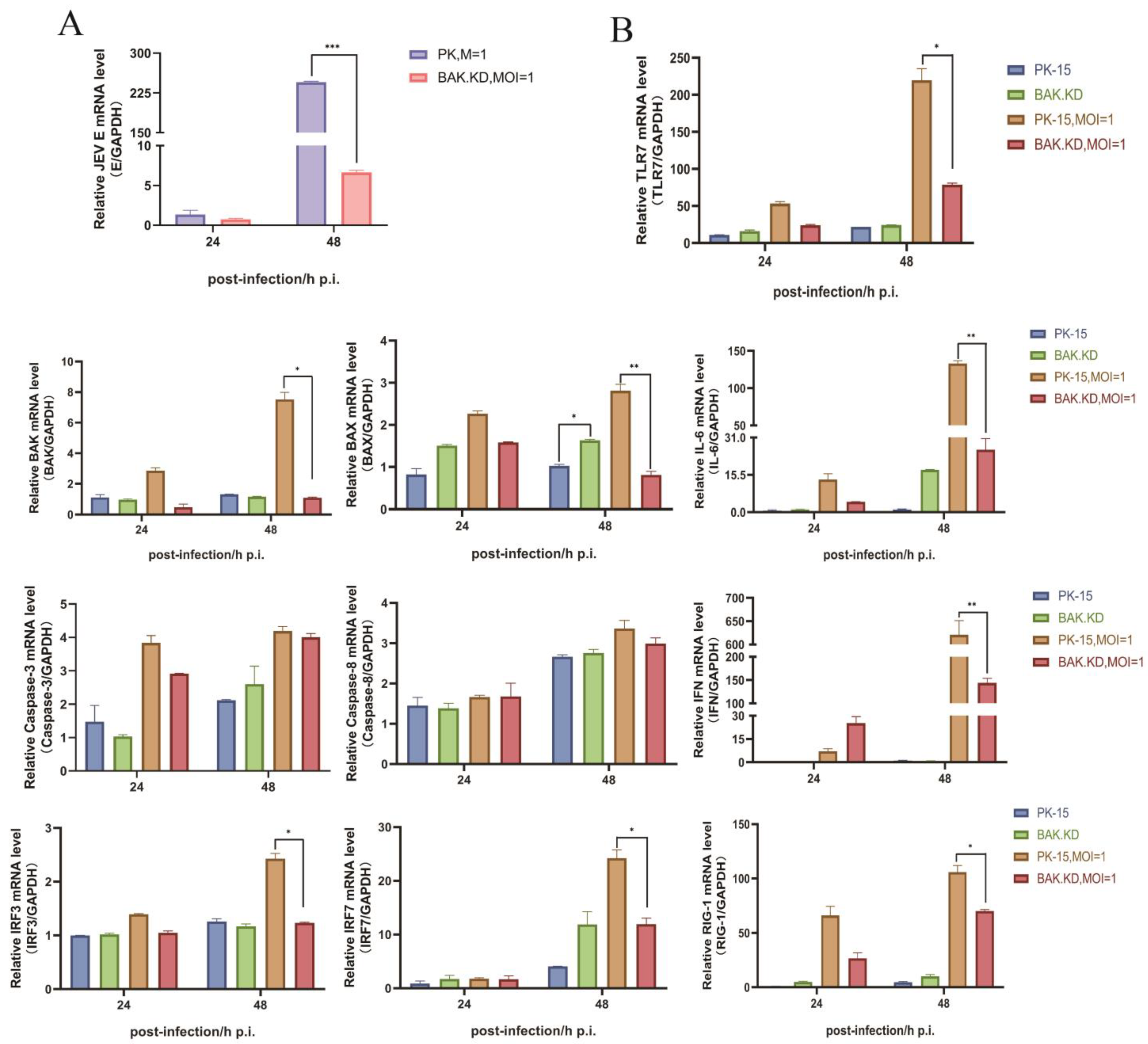 Viruses 15 00974 g002