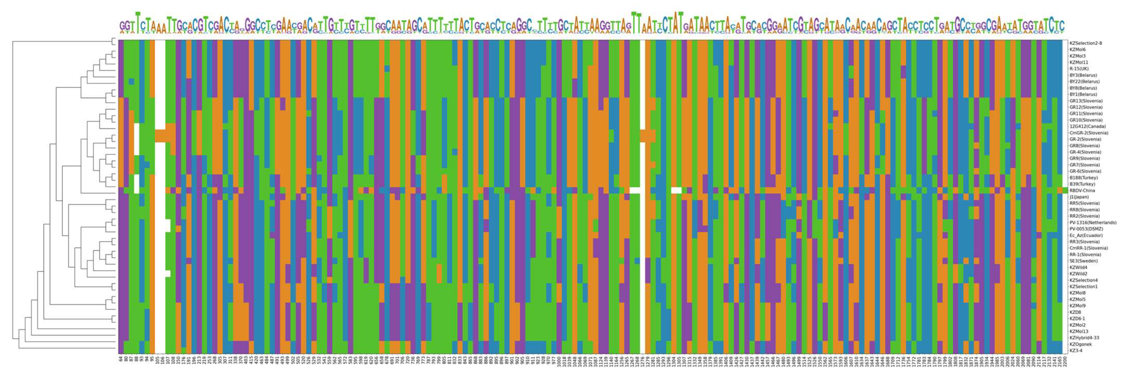 Viruses 15 00975 g003 Viruses 15 00975 g003