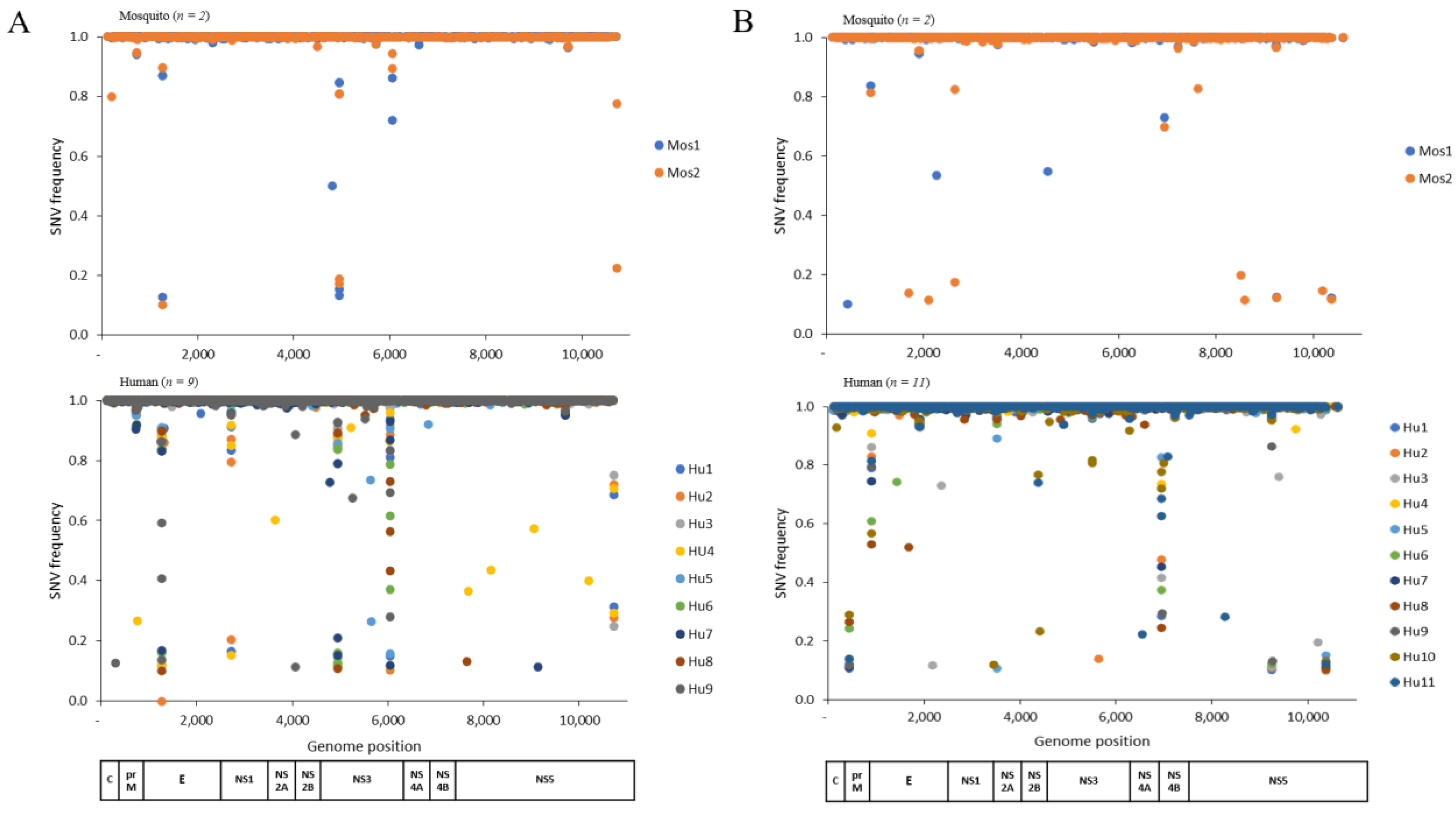 Viruses 15 00982 g001