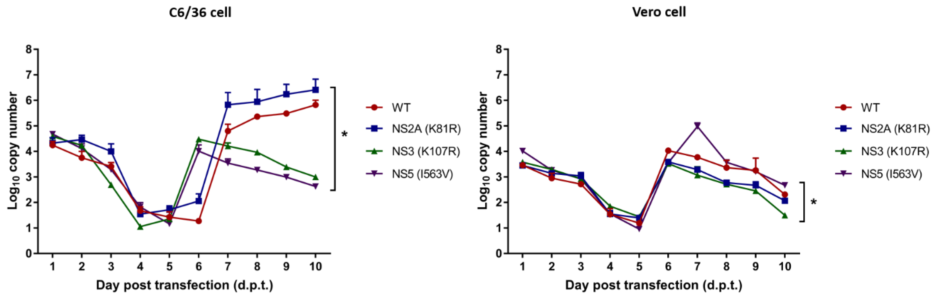 Viruses 15 00982 g003