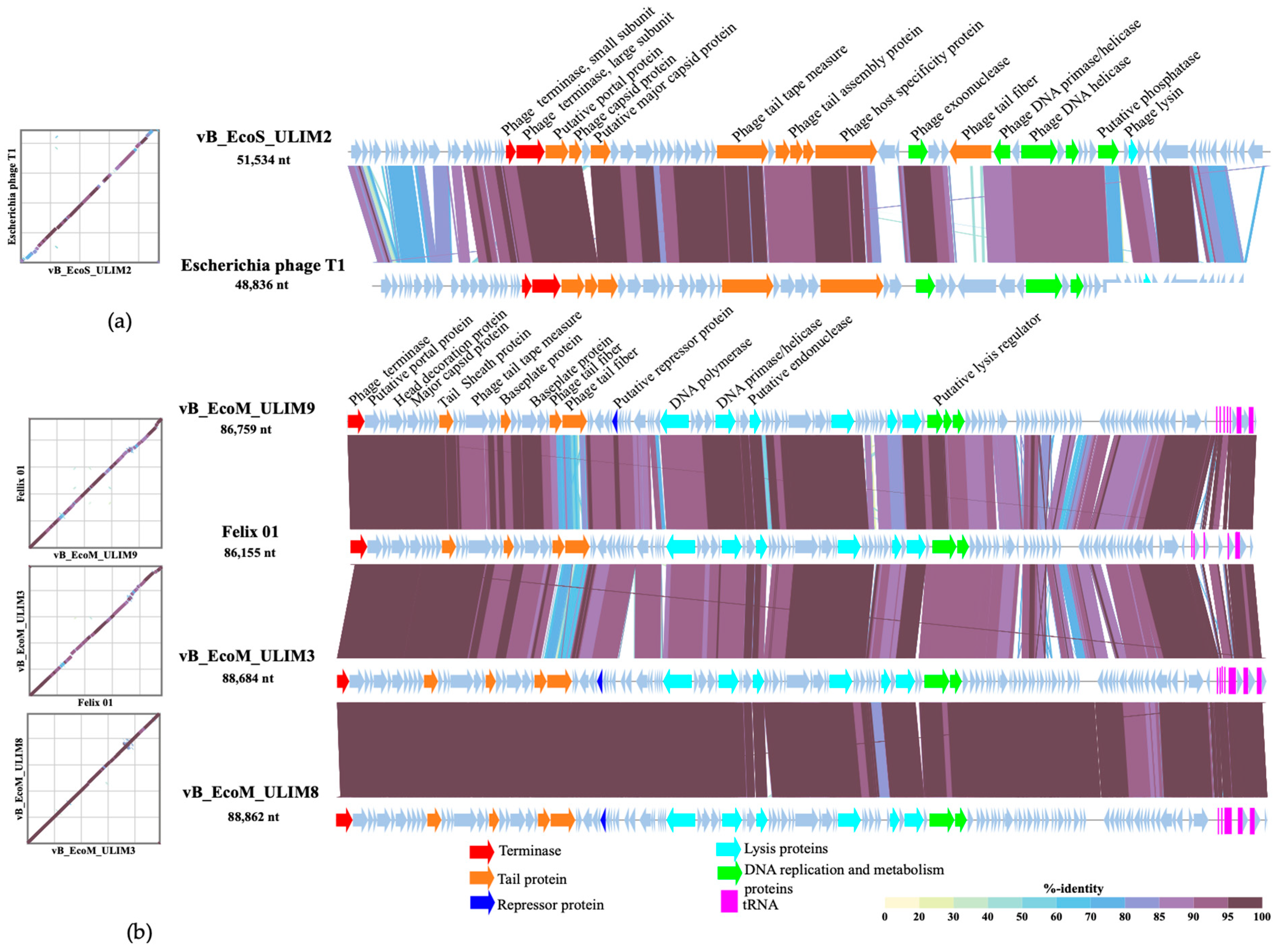 Viruses 15 01053 g004