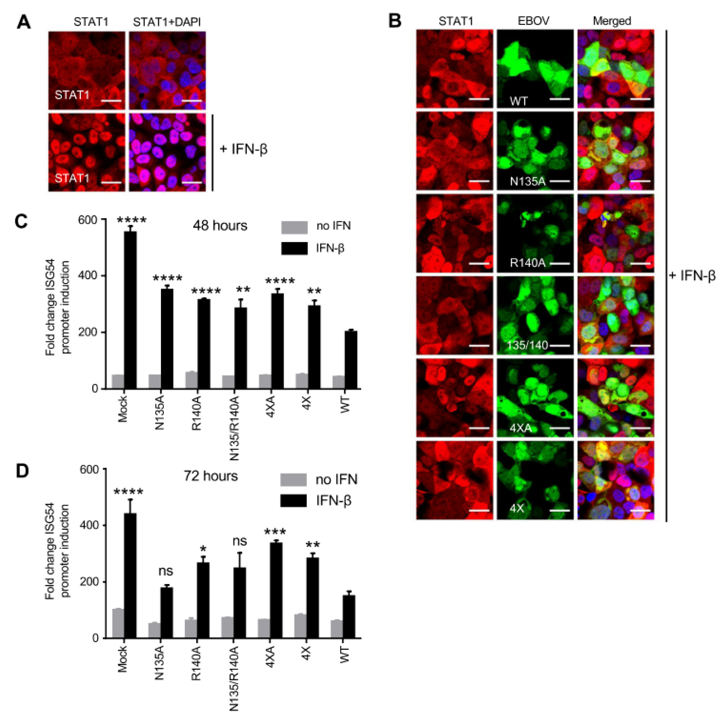Viruses 15 01075 g004
