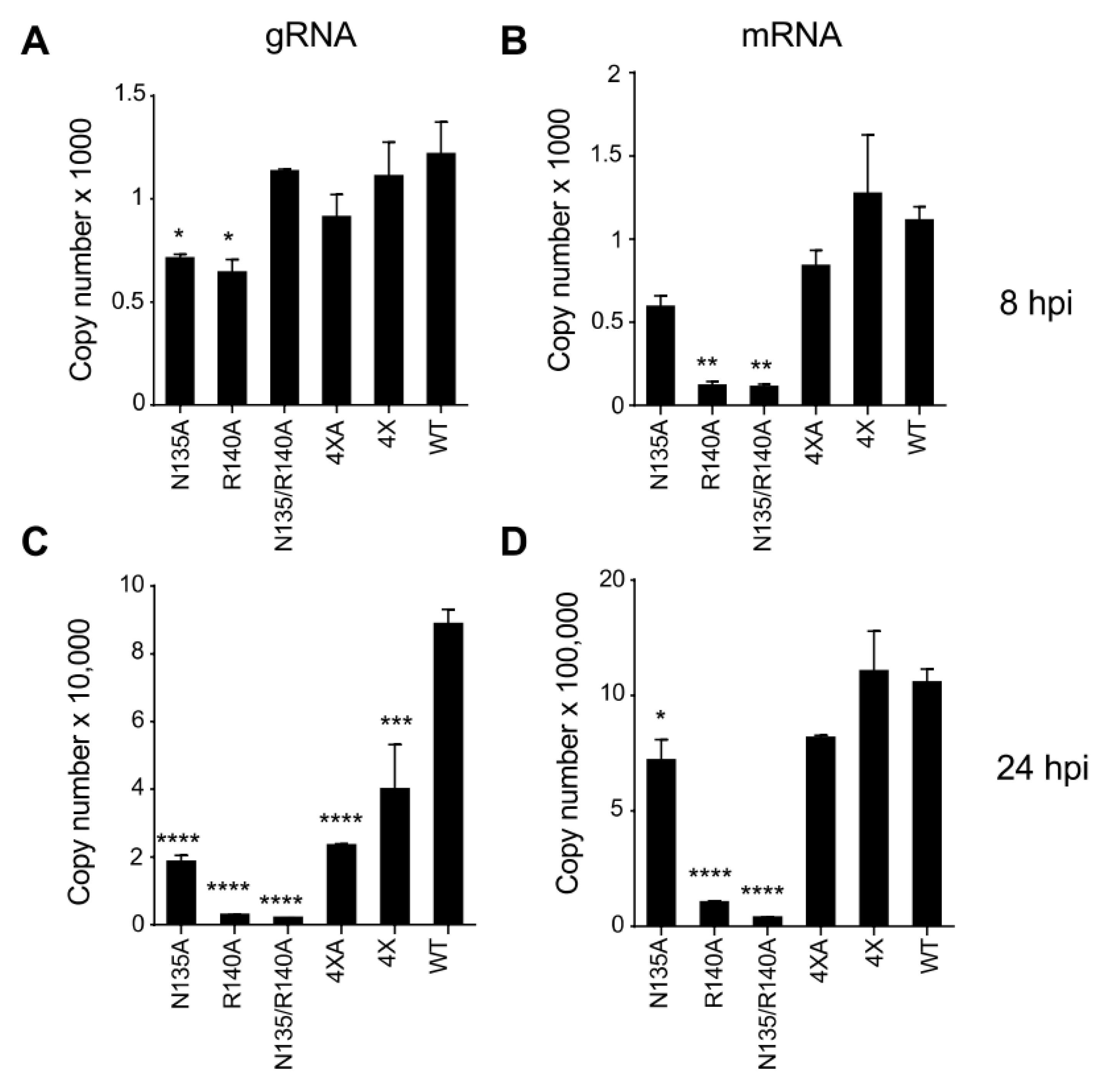 Viruses 15 01075 g006
