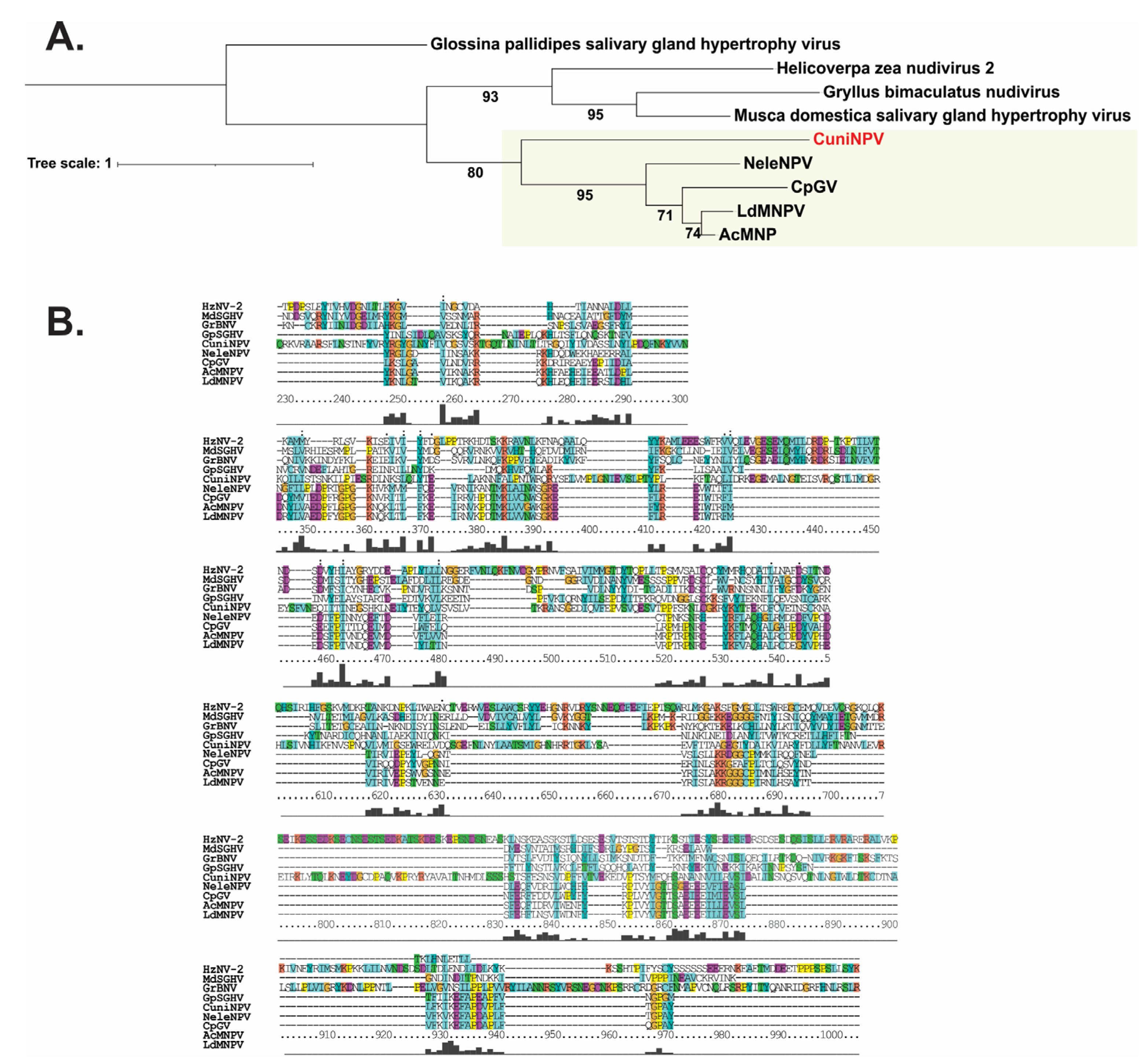 Viruses 15 01091 g006