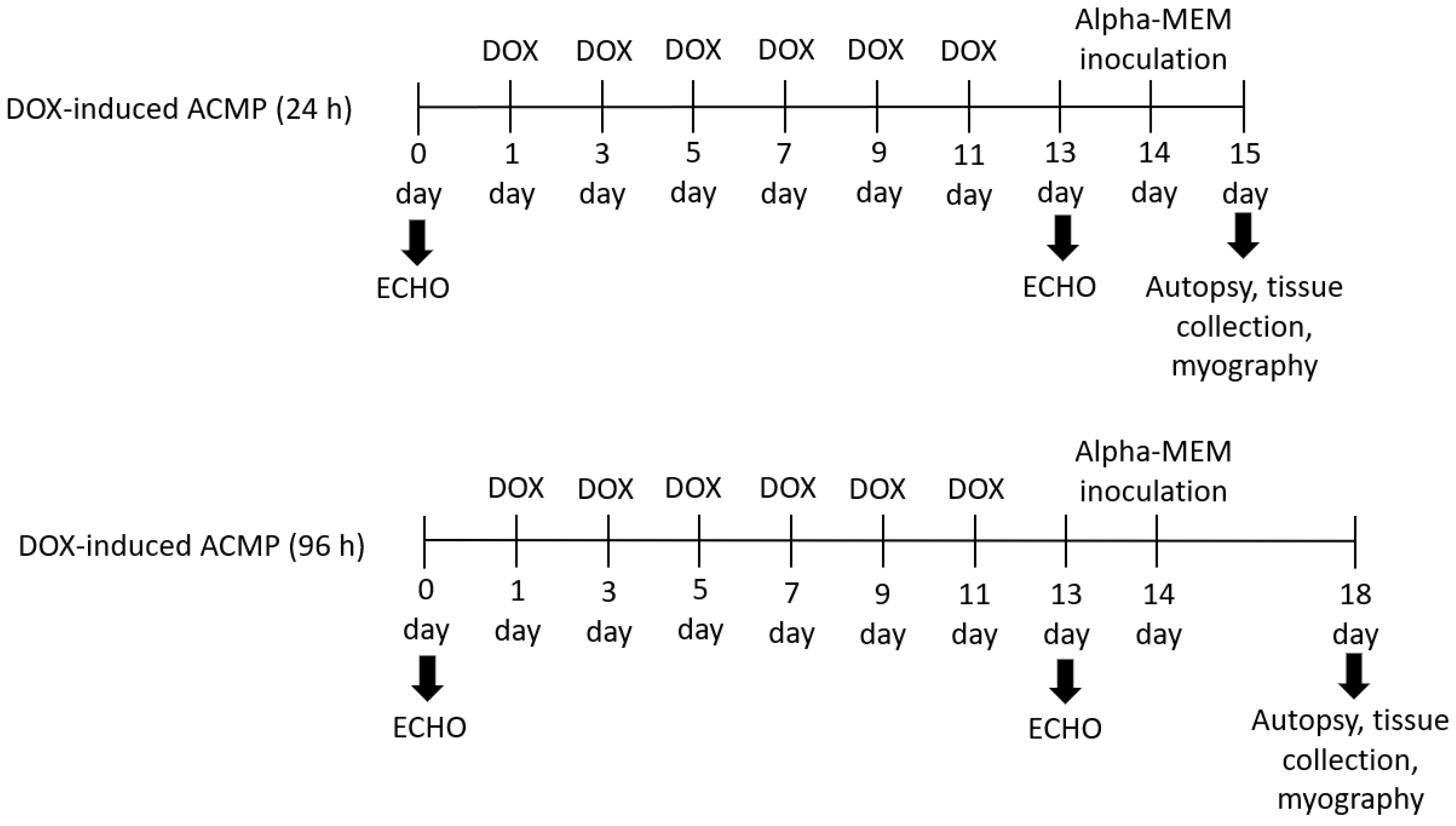 Viruses 15 01114 g001a