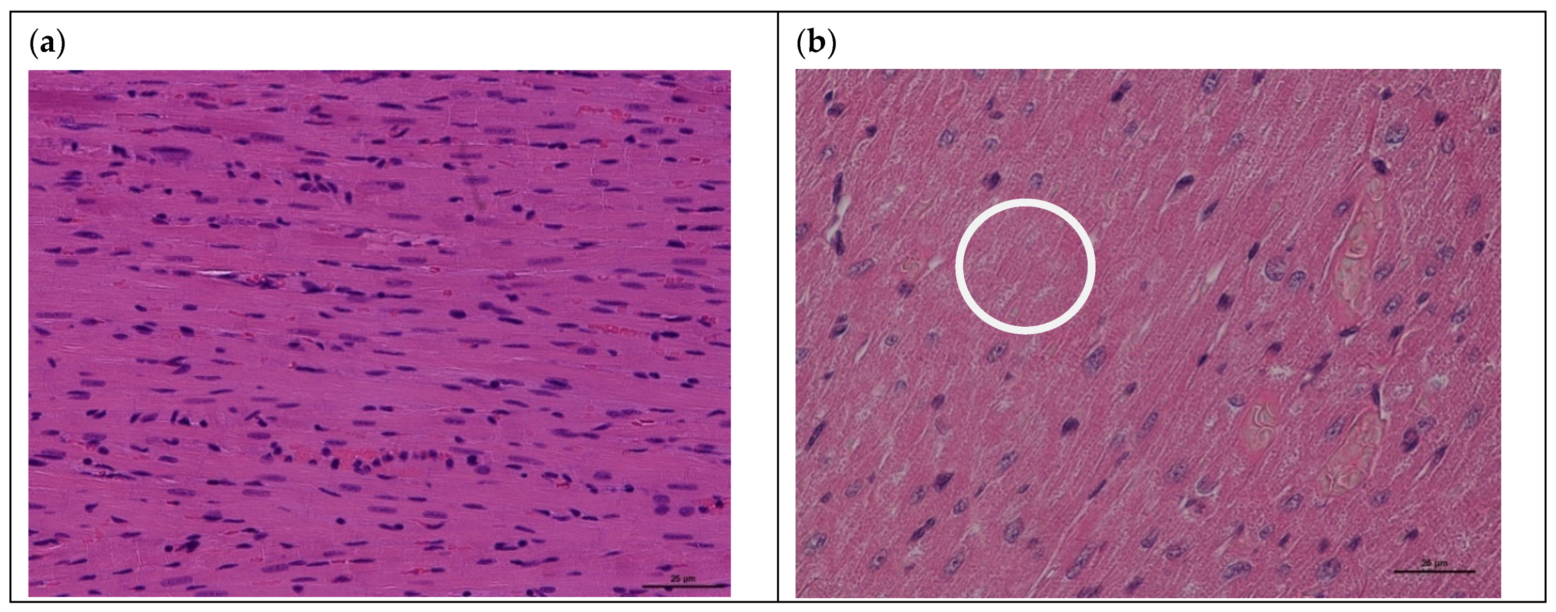 Viruses 15 01114 g003