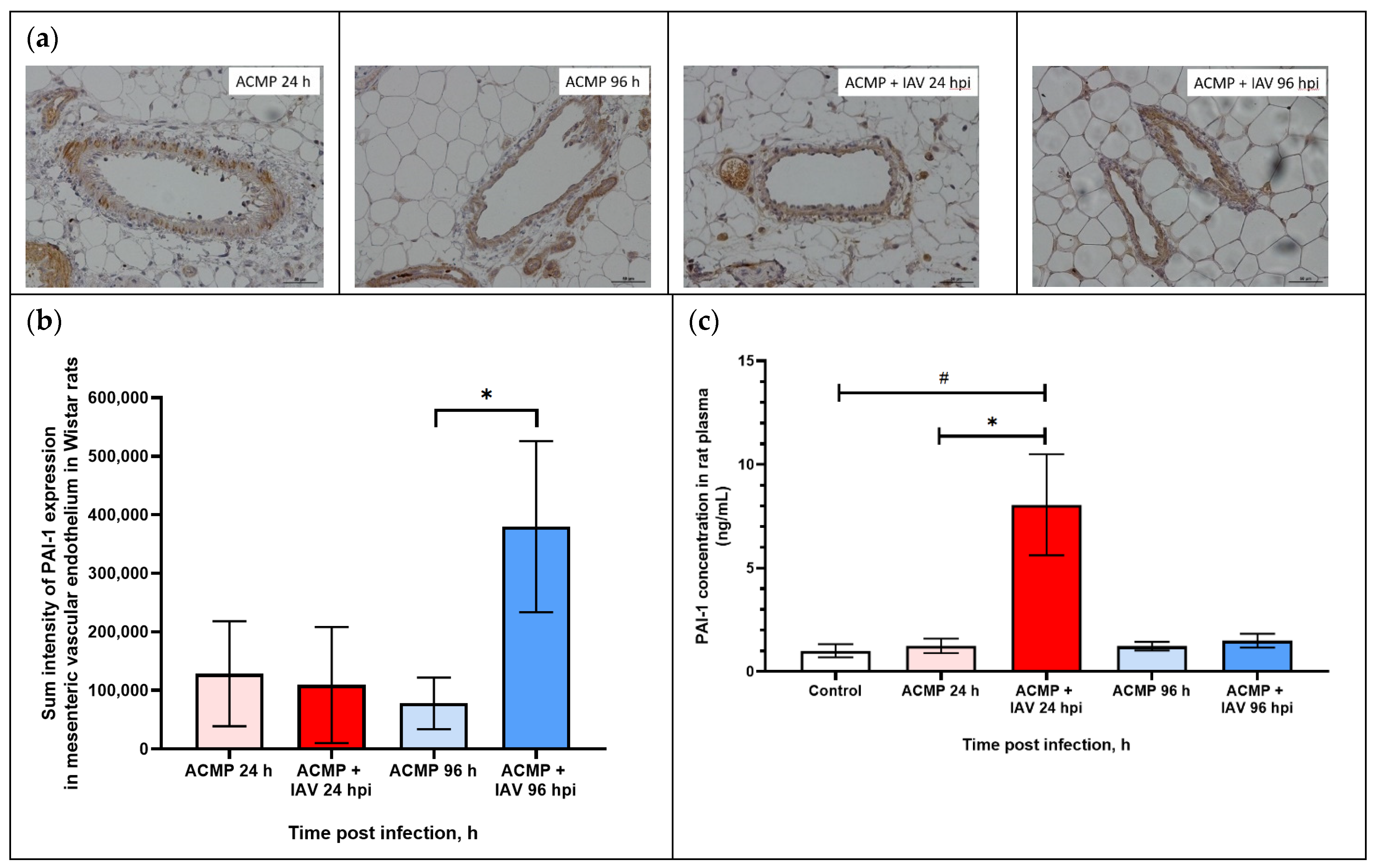 Viruses 15 01114 g006