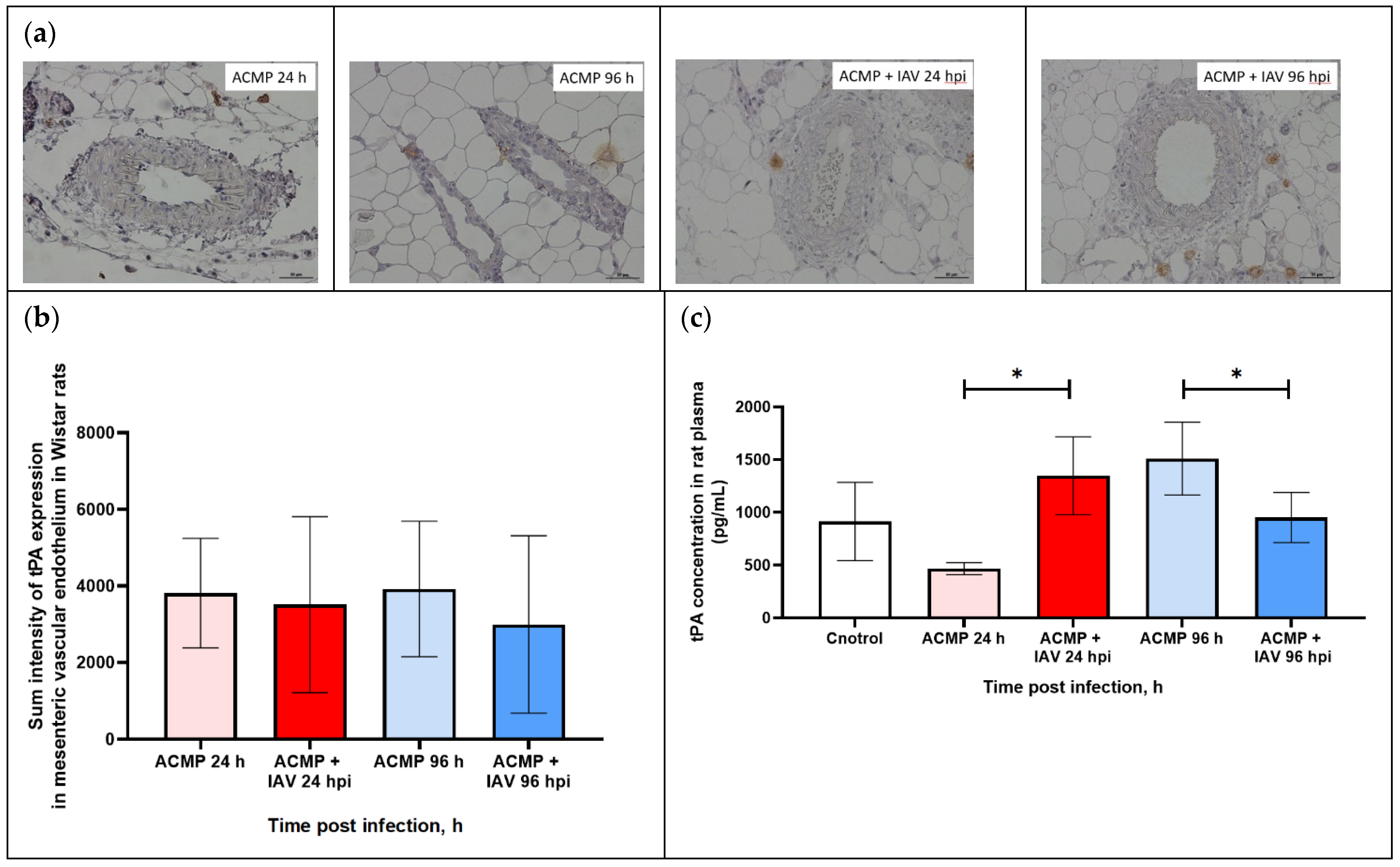 Viruses 15 01114 g007