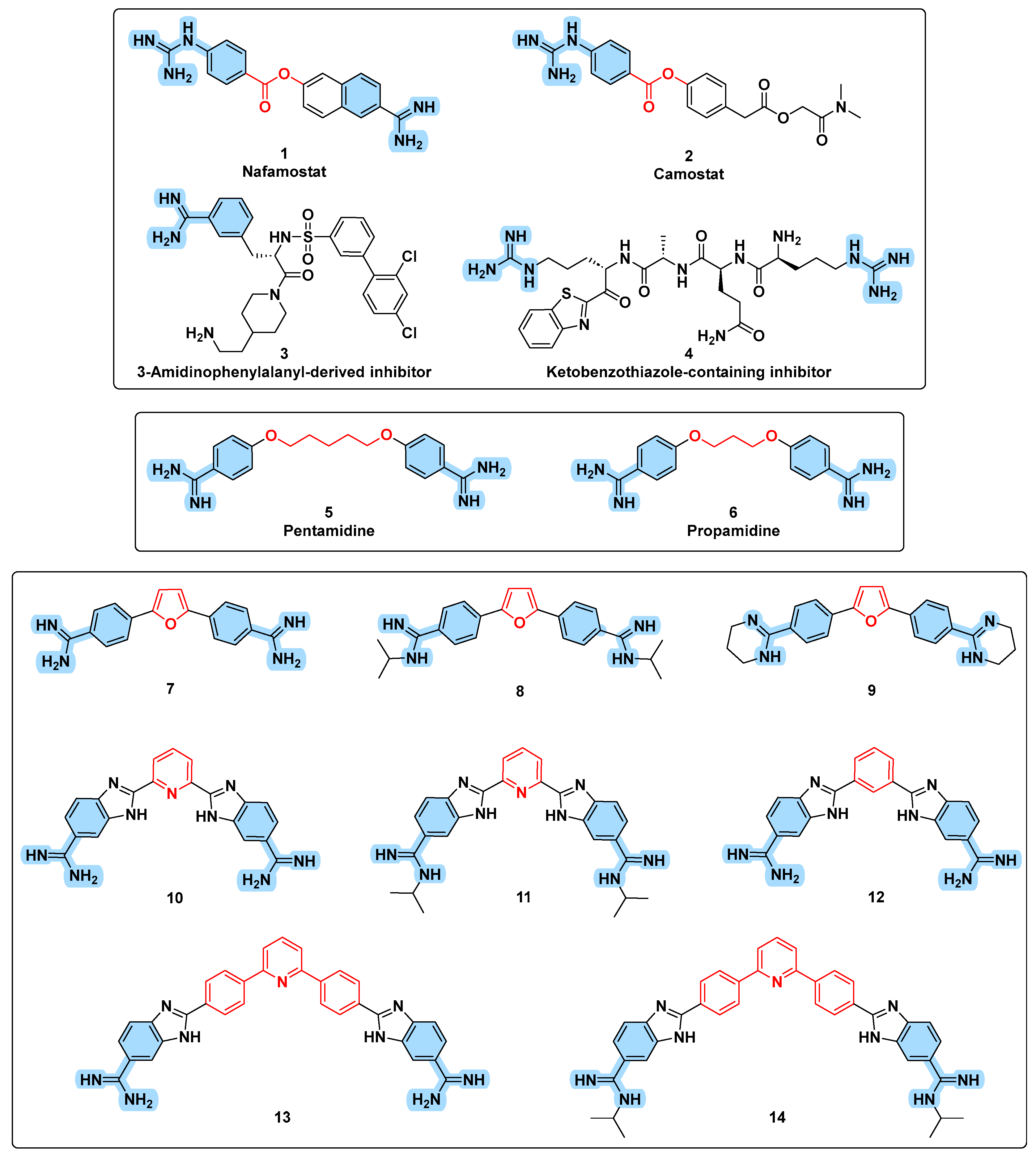 Viruses 15 01171 g001