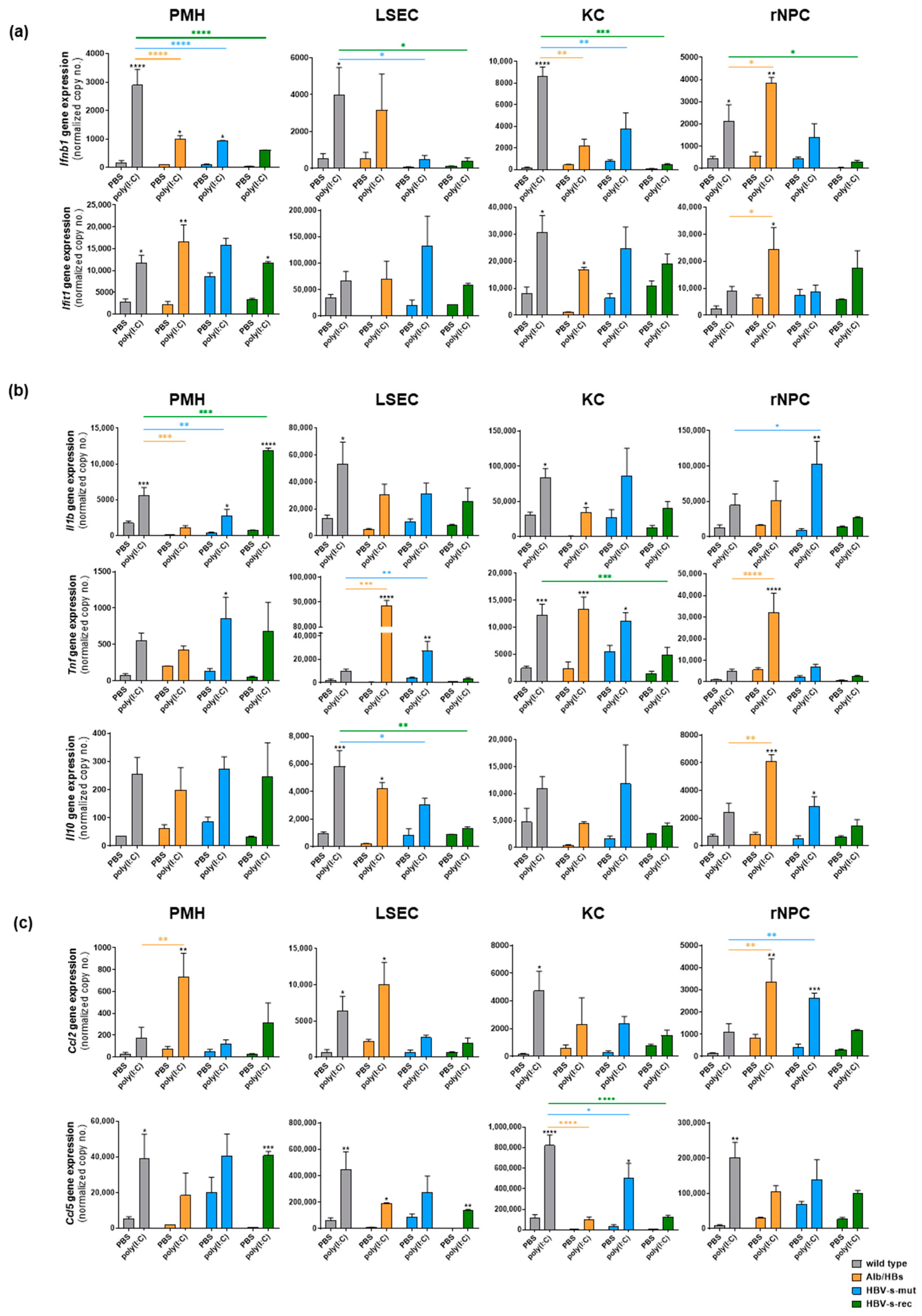 Viruses 15 01203 g004