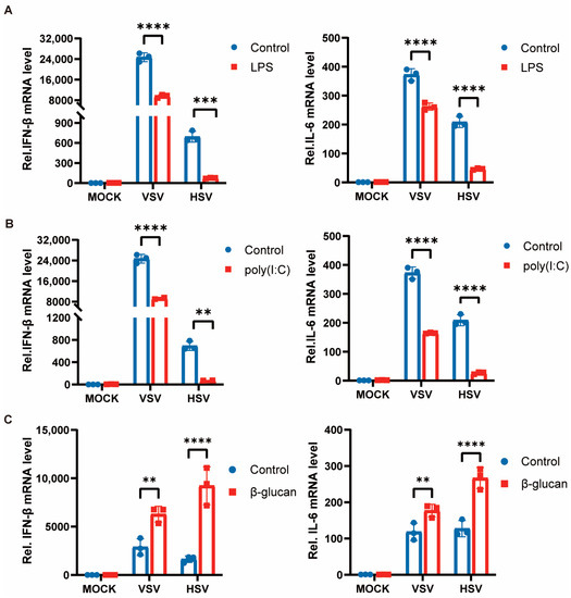 Z-Stack: Does It Boost Immunity And Is It Safe 