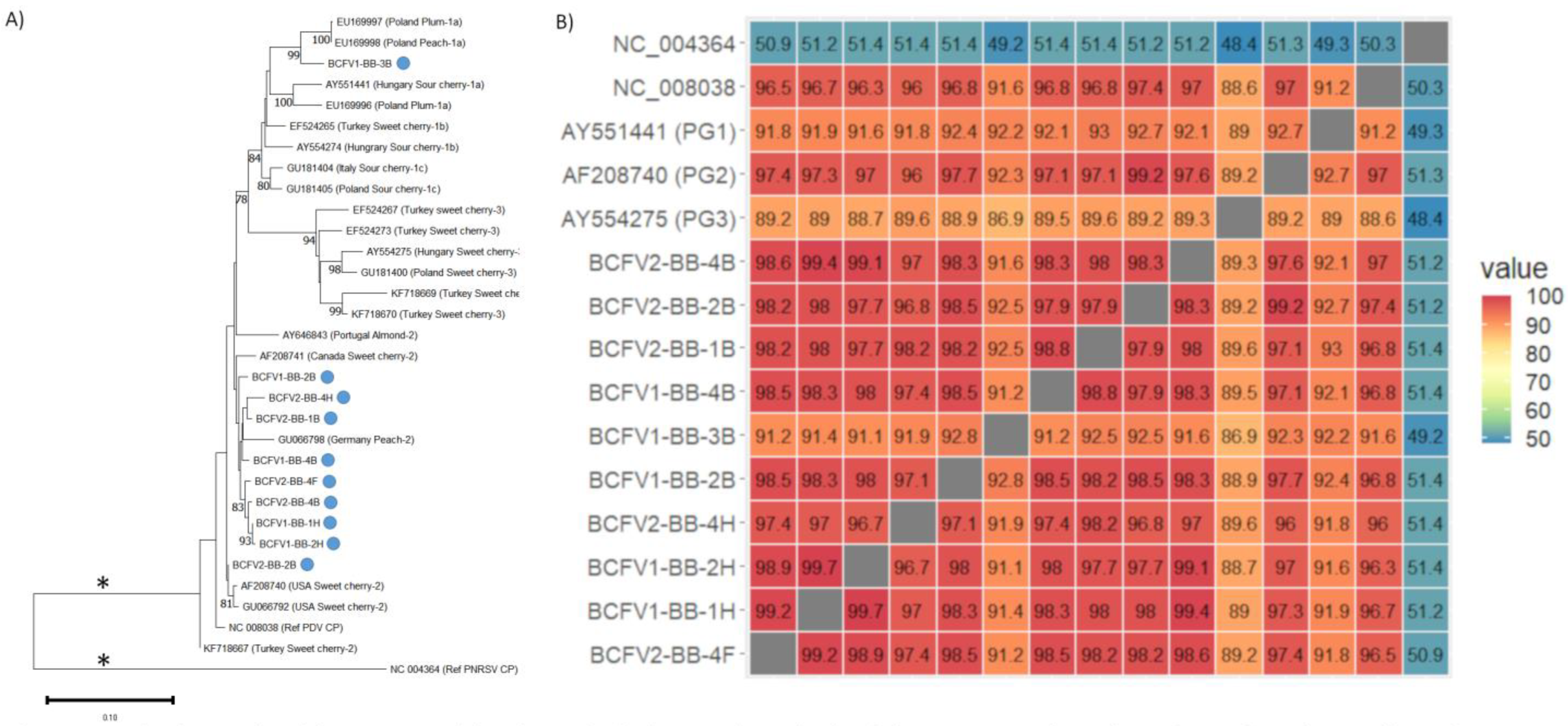 Viruses 15 01209 g005 Viruses 15 01209 g005
