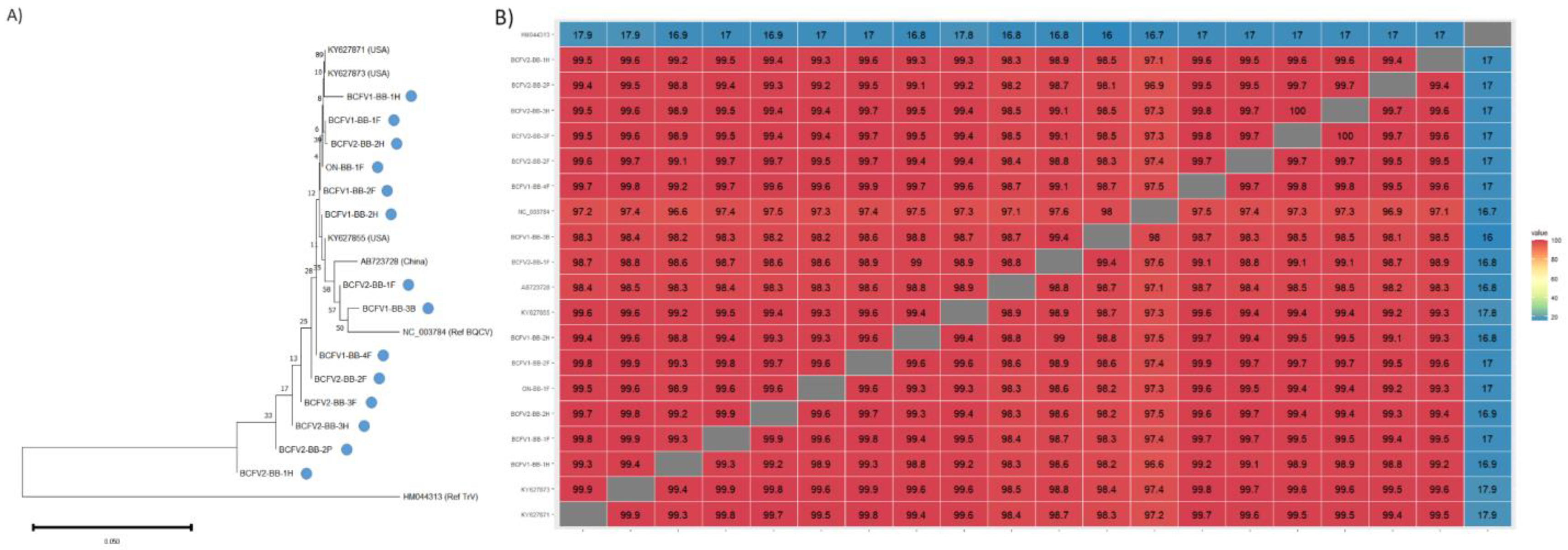 Viruses 15 01209 g006 Viruses 15 01209 g006