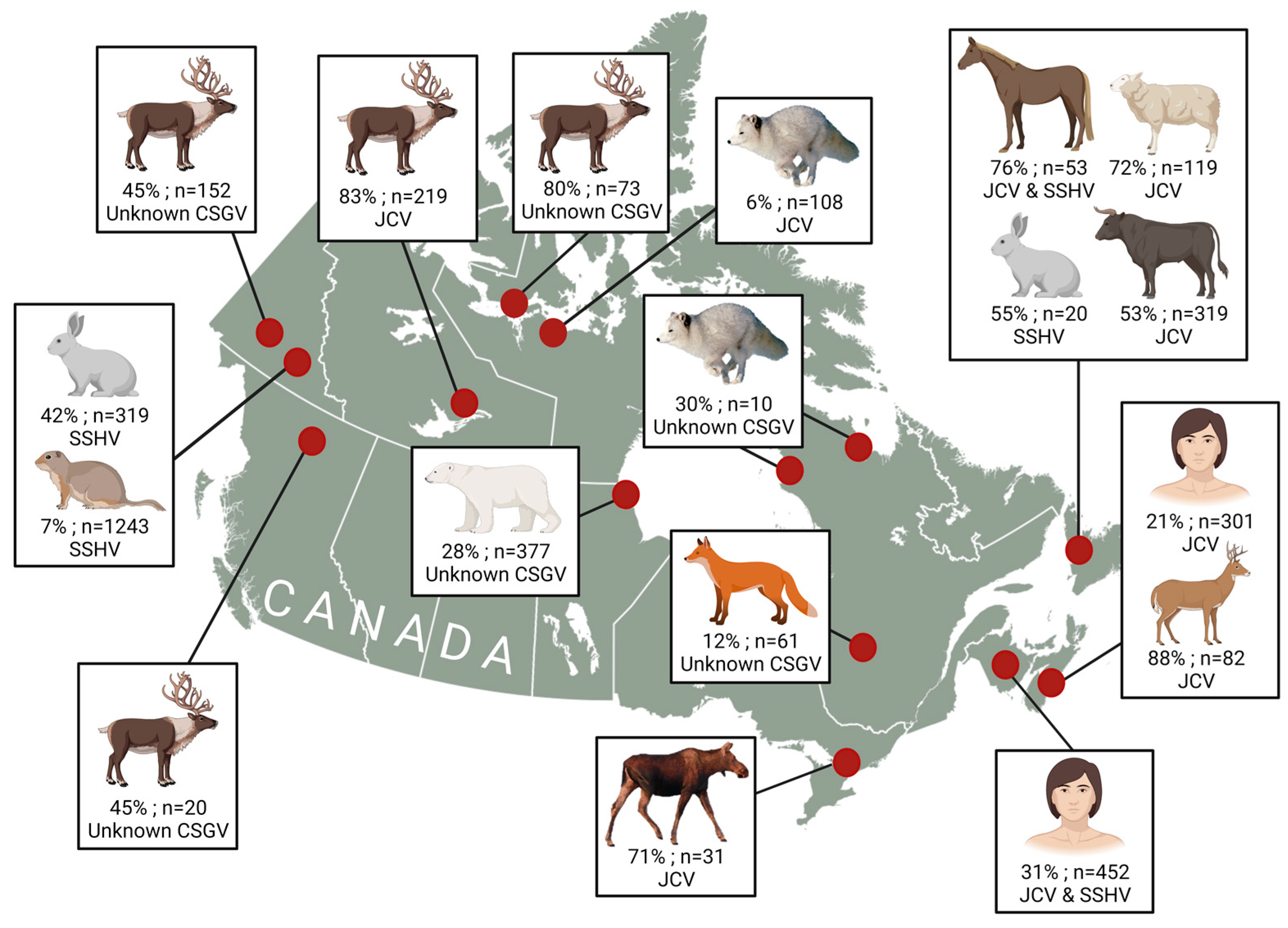 Viruses 15 01242 g004 Viruses 15 01242 g004