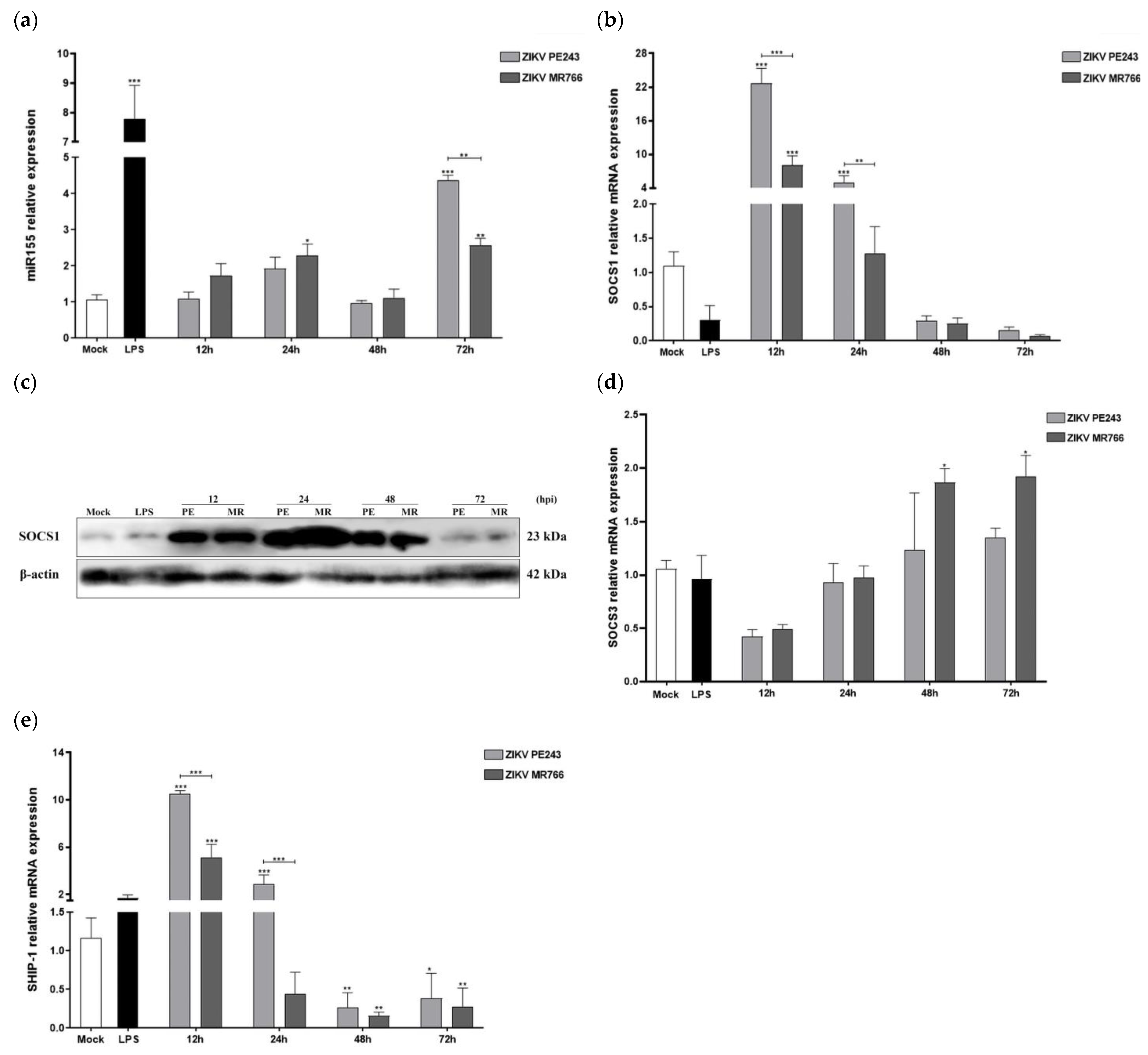 Viruses 15 01250 g004 Viruses 15 01250 g004