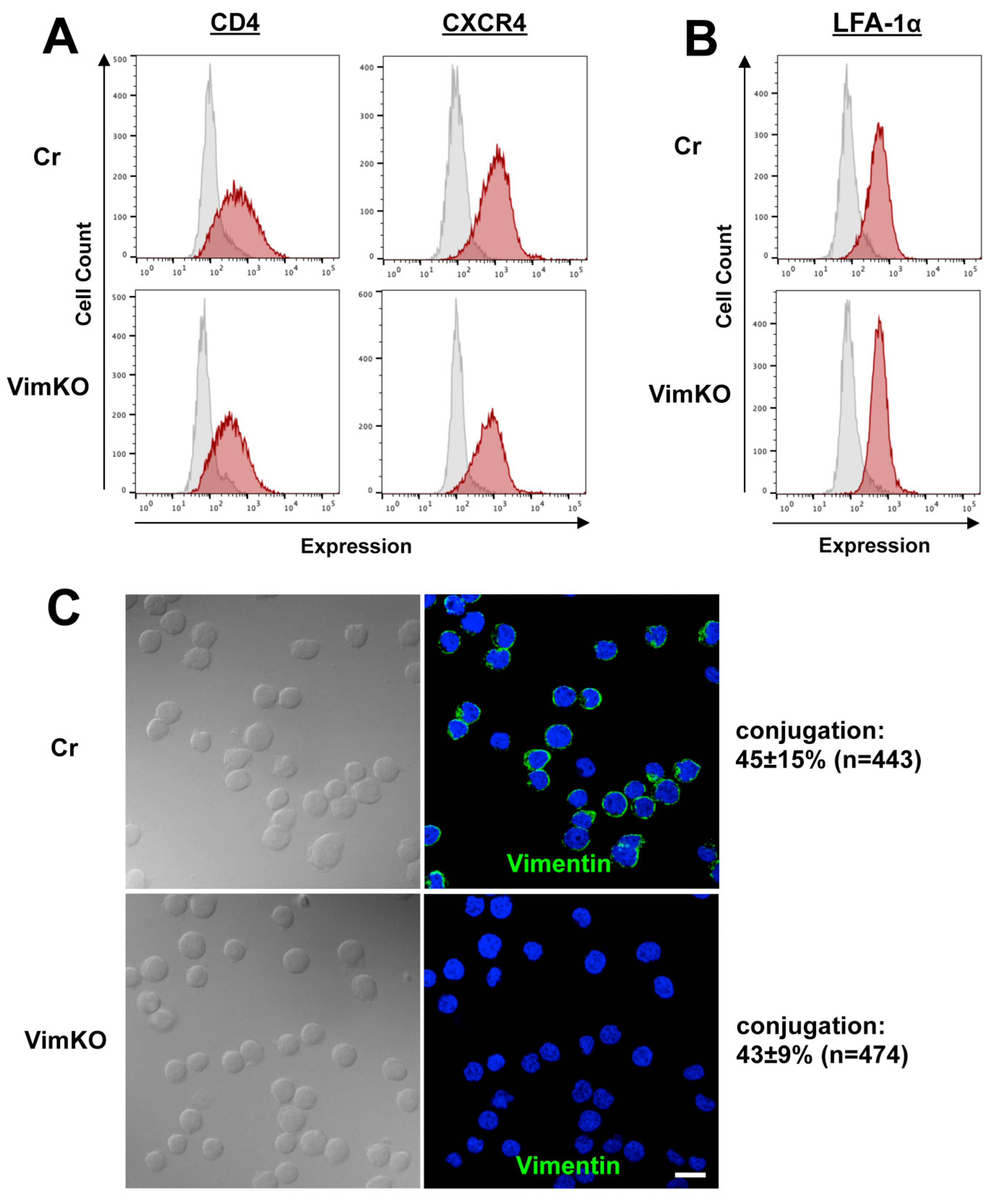 Viruses 15 01266 g006