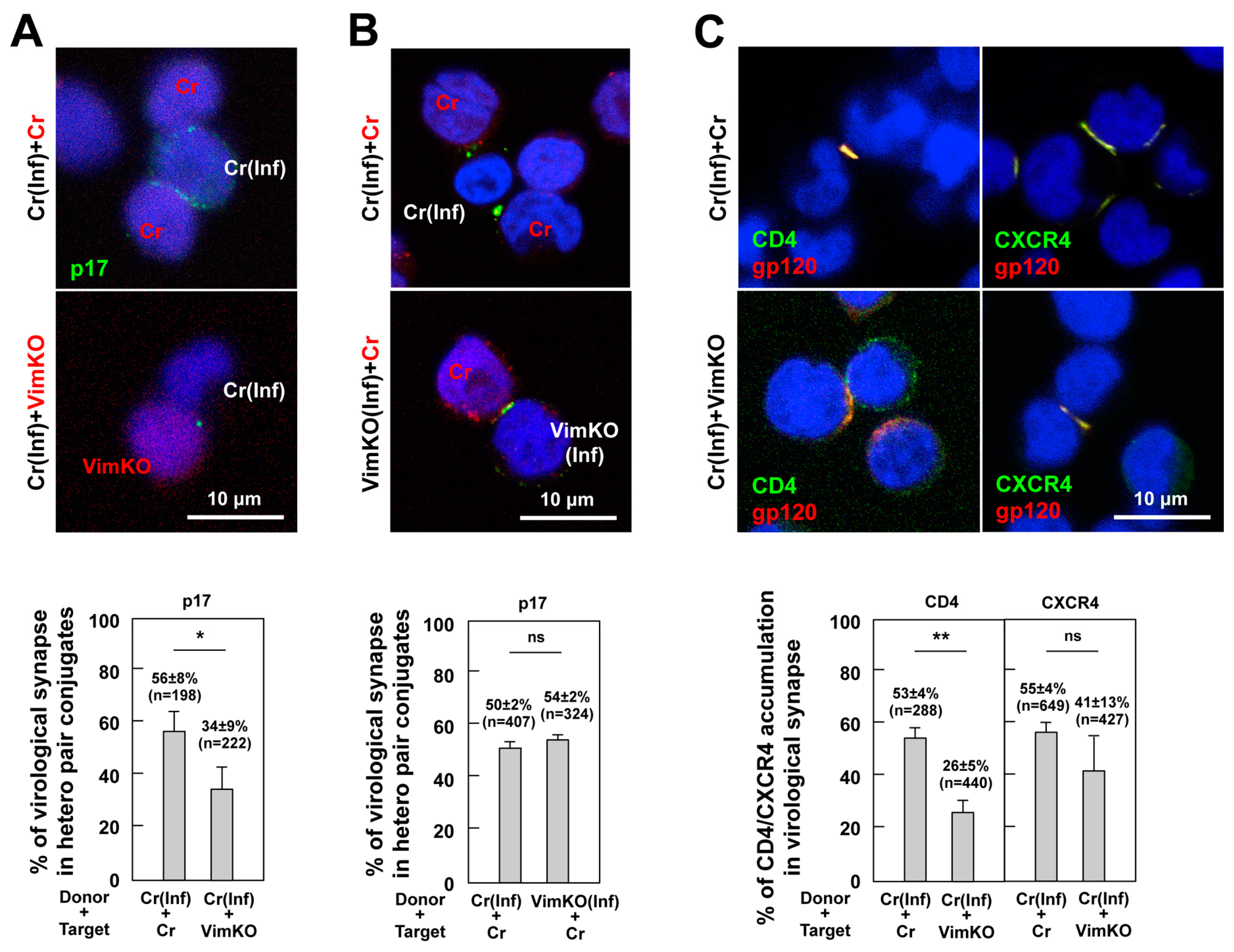 Viruses 15 01266 g007