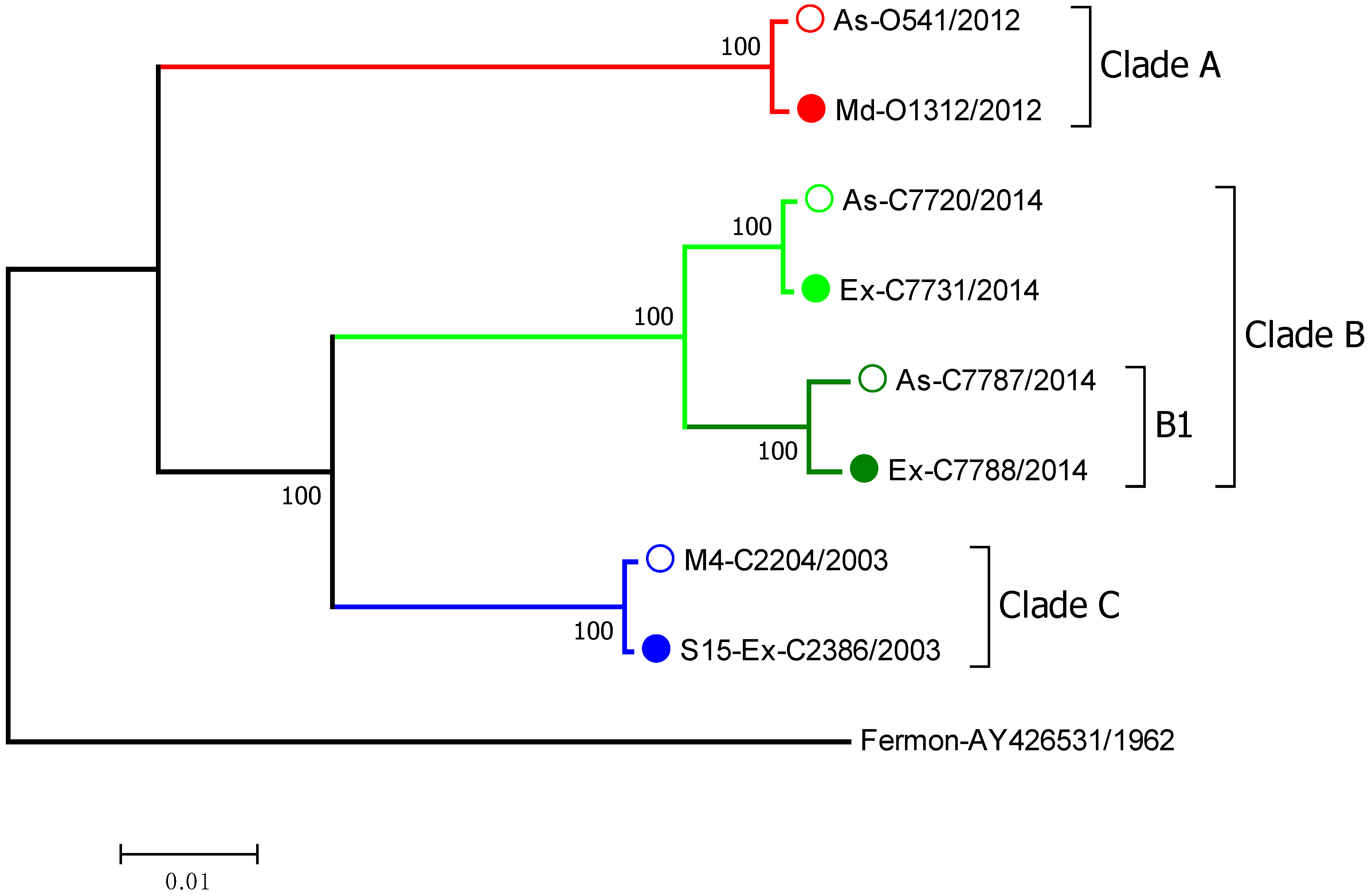 Viruses 15 01291 g001