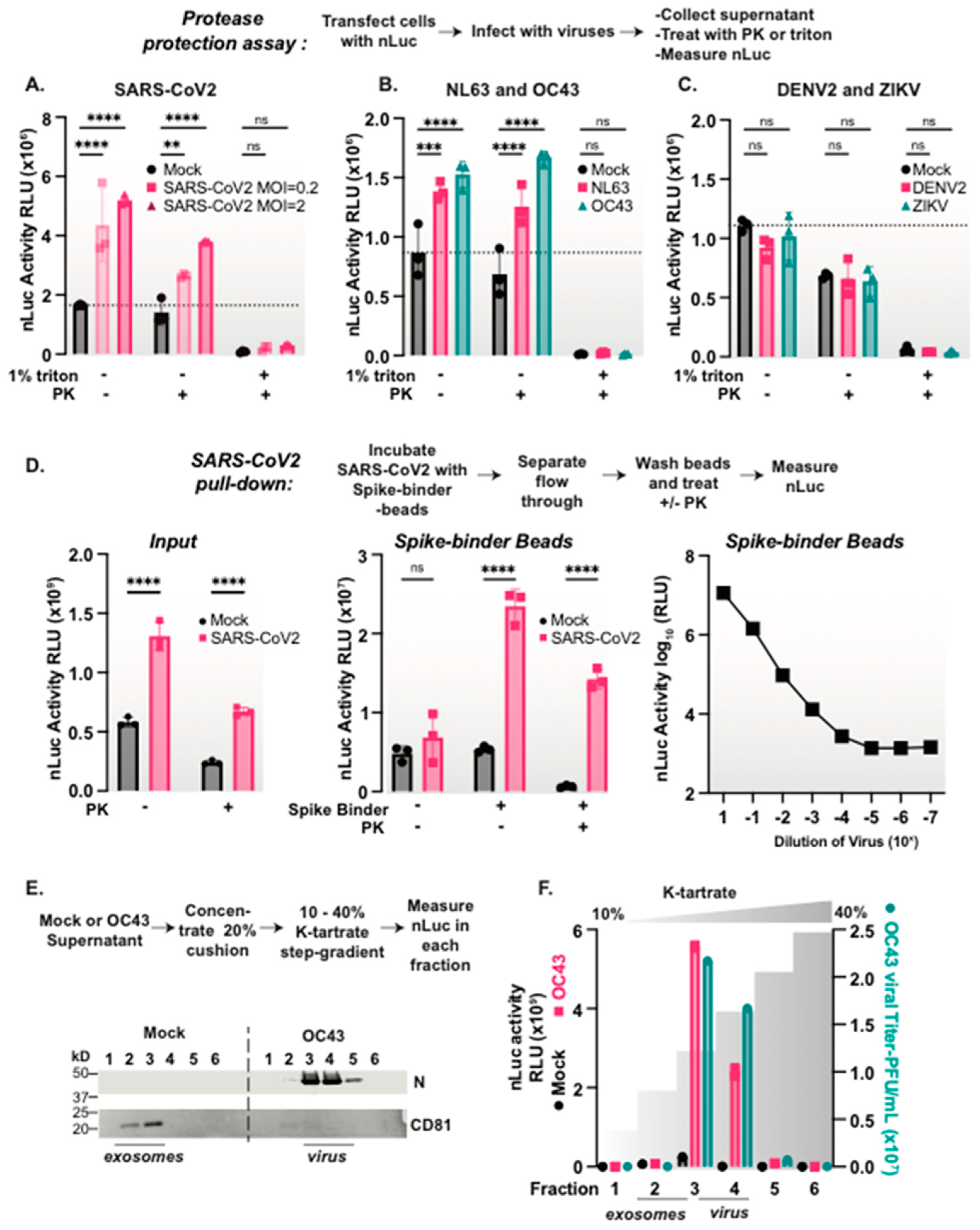 Viruses 15 01335 g002 Viruses 15 01335 g002