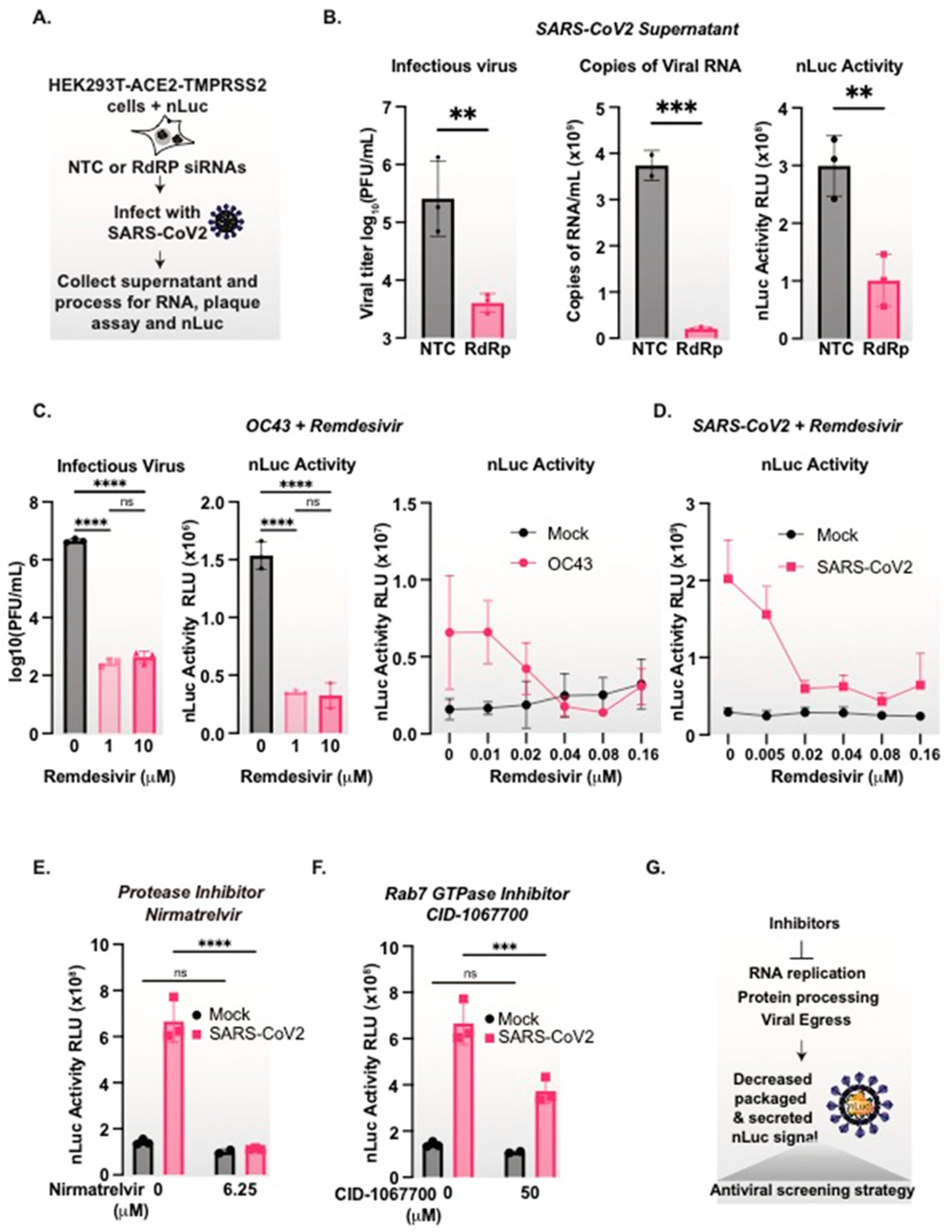 Viruses 15 01335 g004 Viruses 15 01335 g004