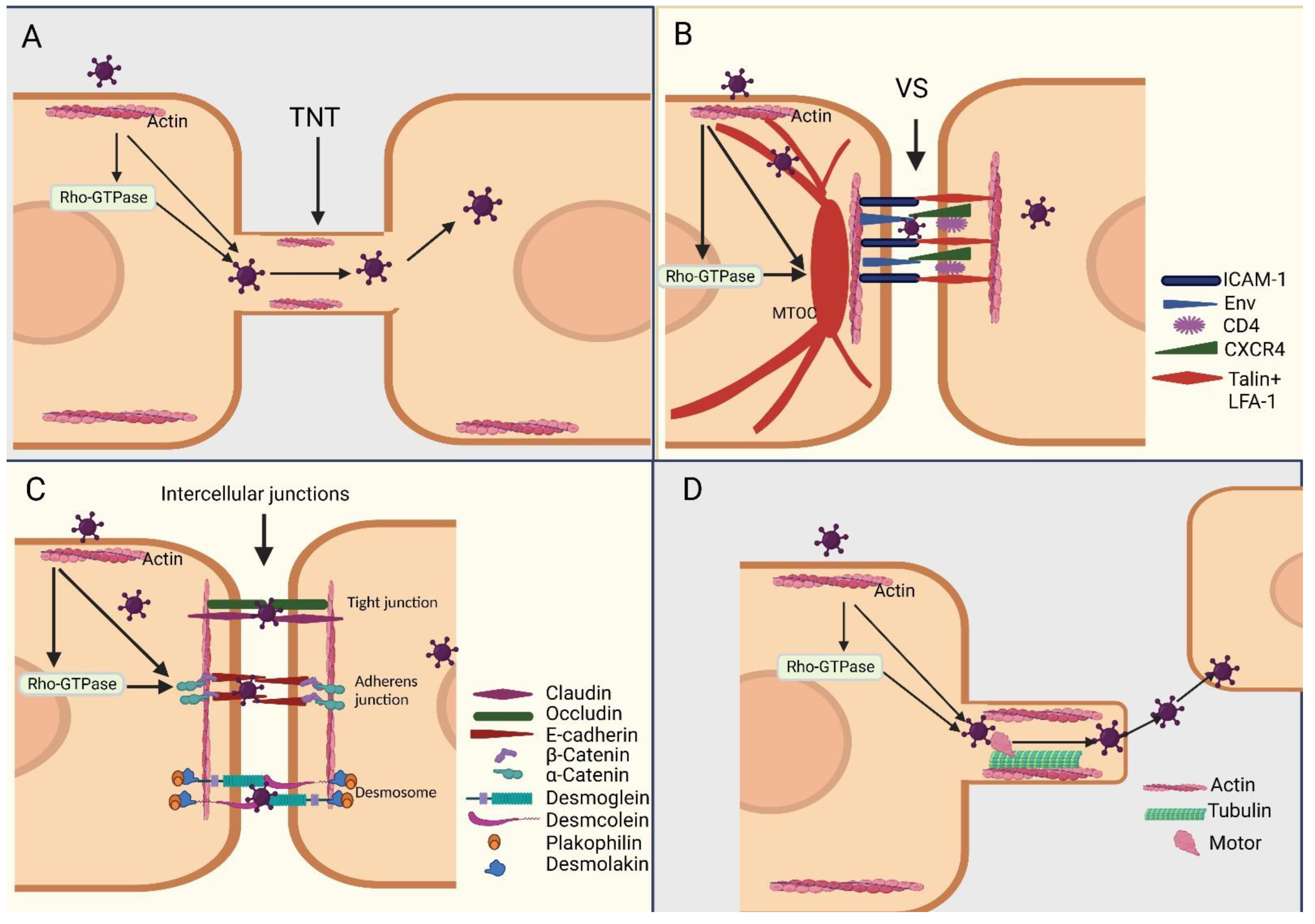 Viruses 15 01354 g003