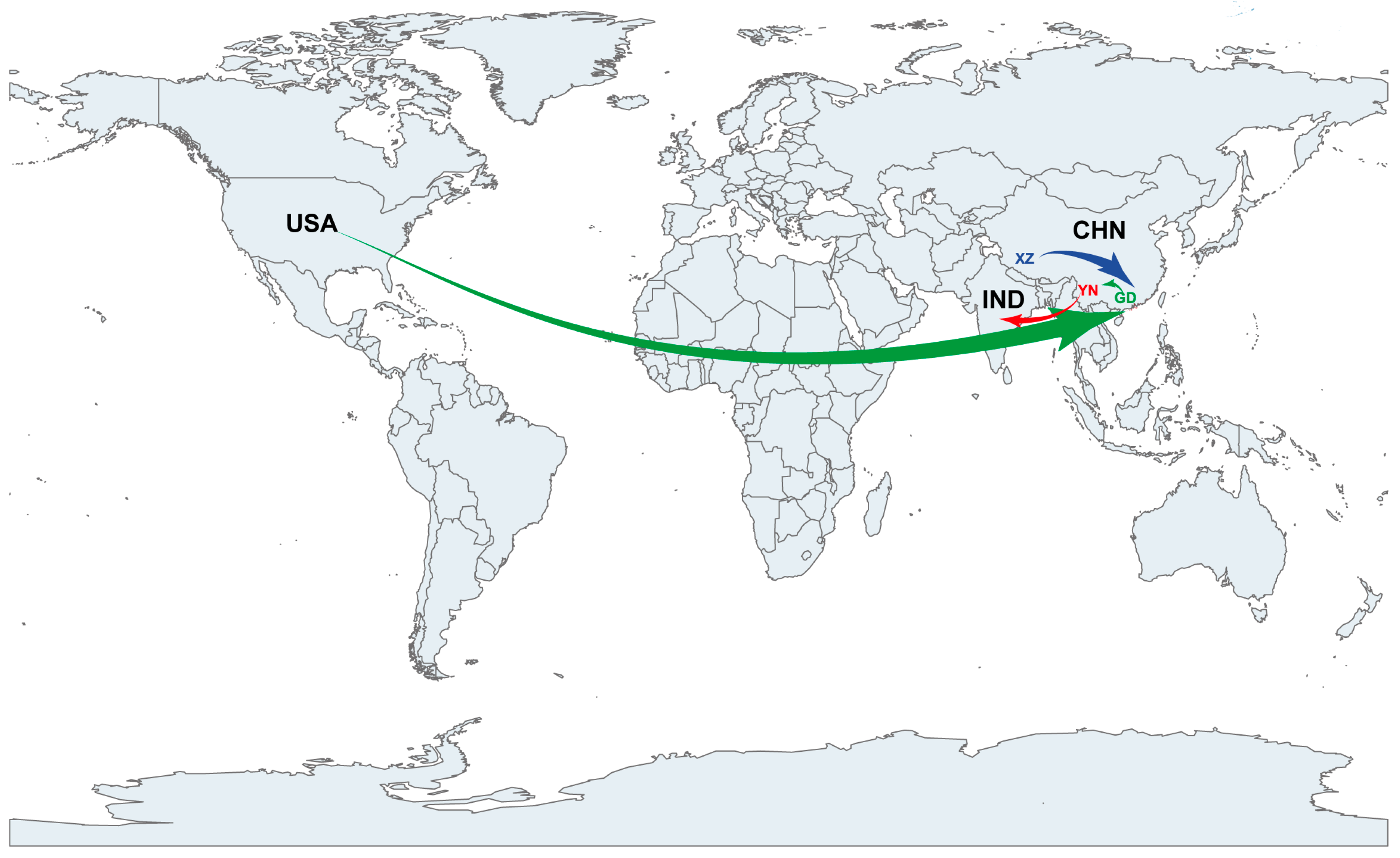 Viruses 15 01360 g004