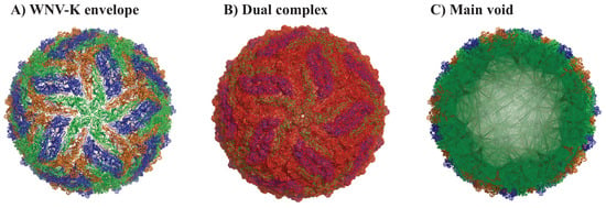 Viruses | Free Full-Text | Analyzing The Geometry And Dynamics Of Viral ...