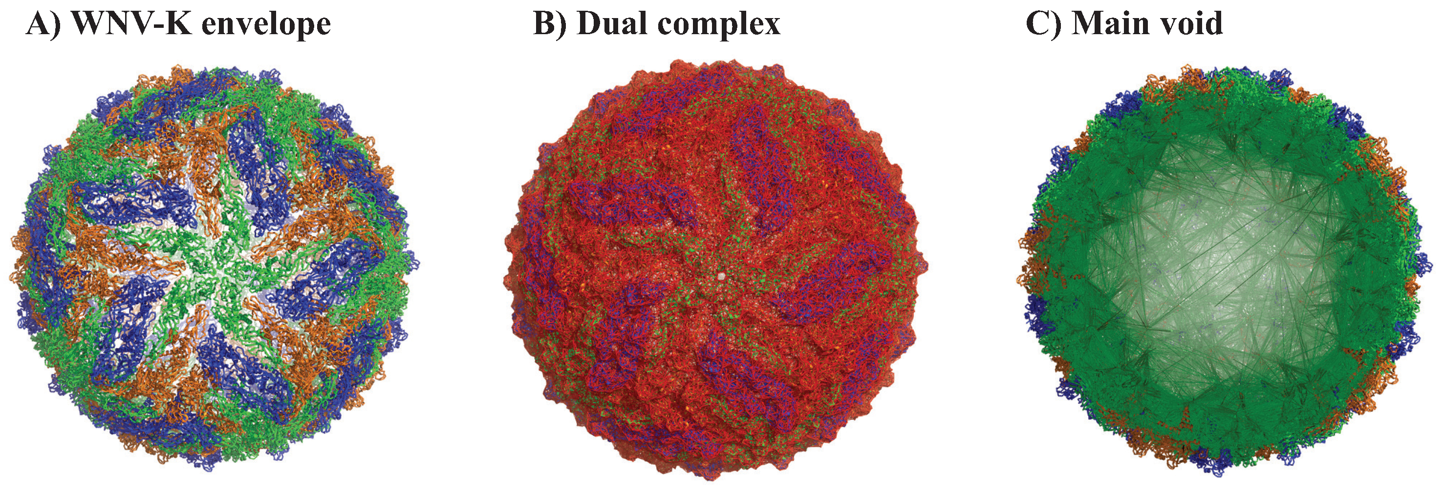 Viruses 15 01366 g002 Viruses 15 01366 g002