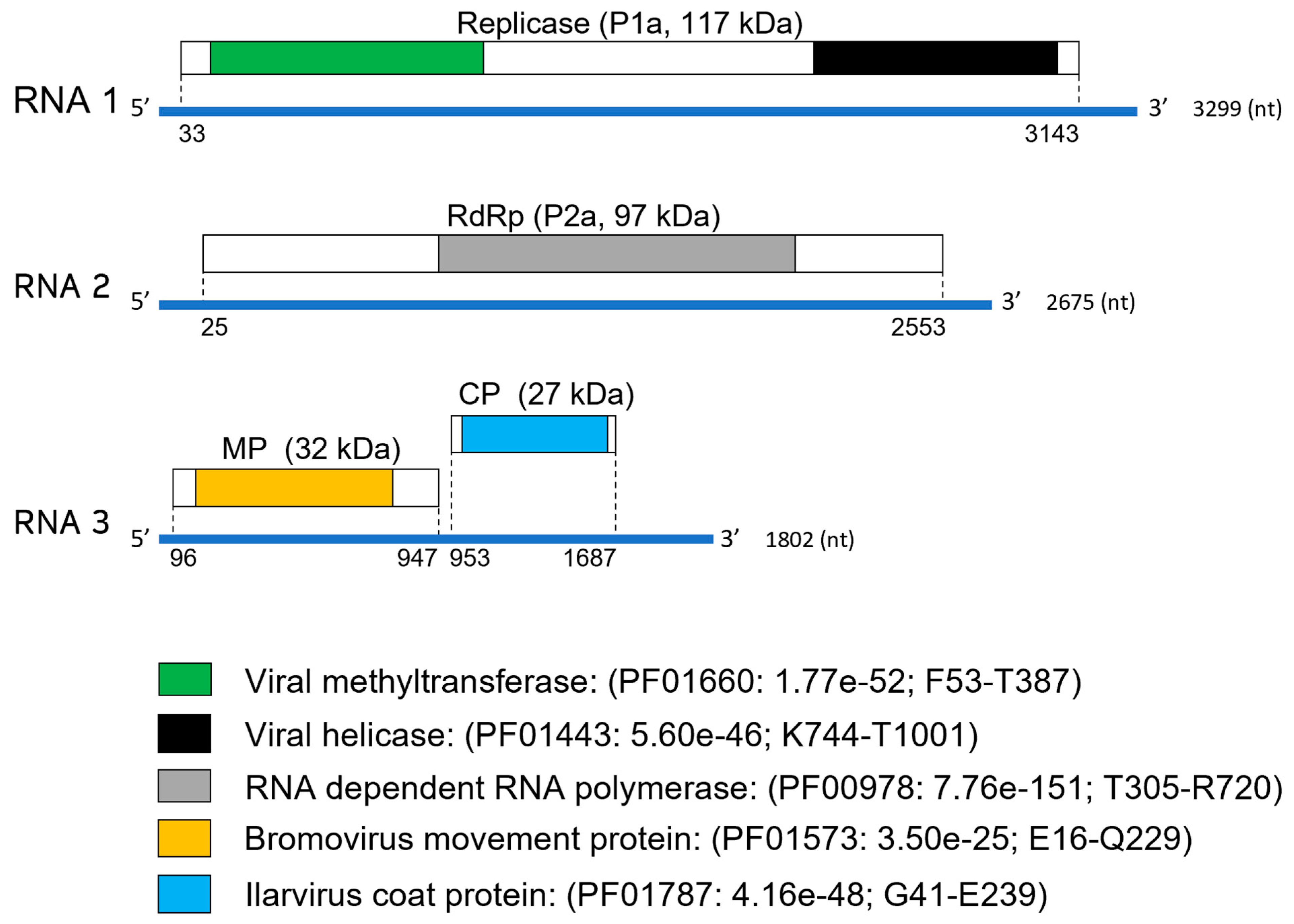 Viruses 15 01380 g002 Viruses 15 01380 g002
