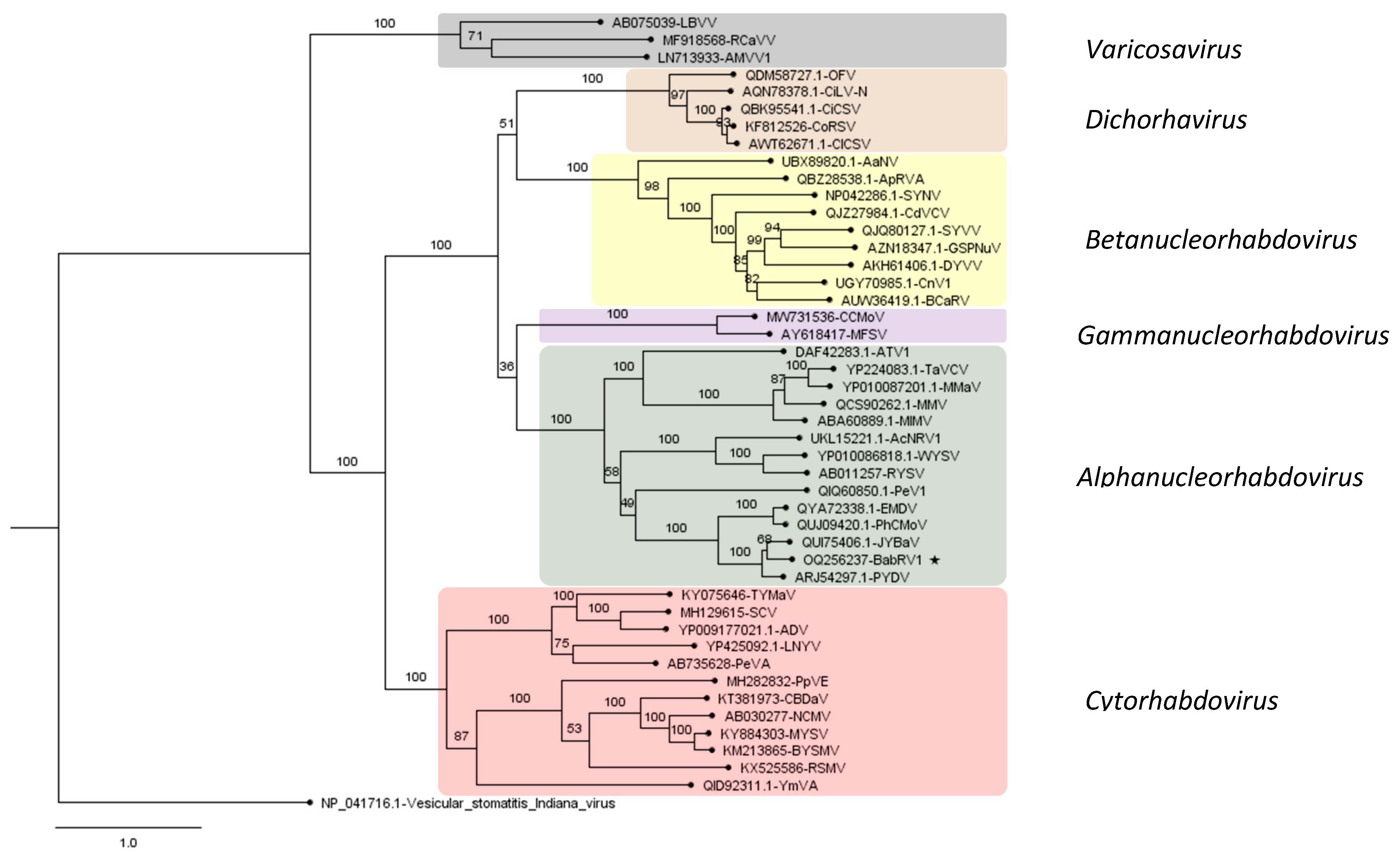 Viruses 15 01380 g005 Viruses 15 01380 g005