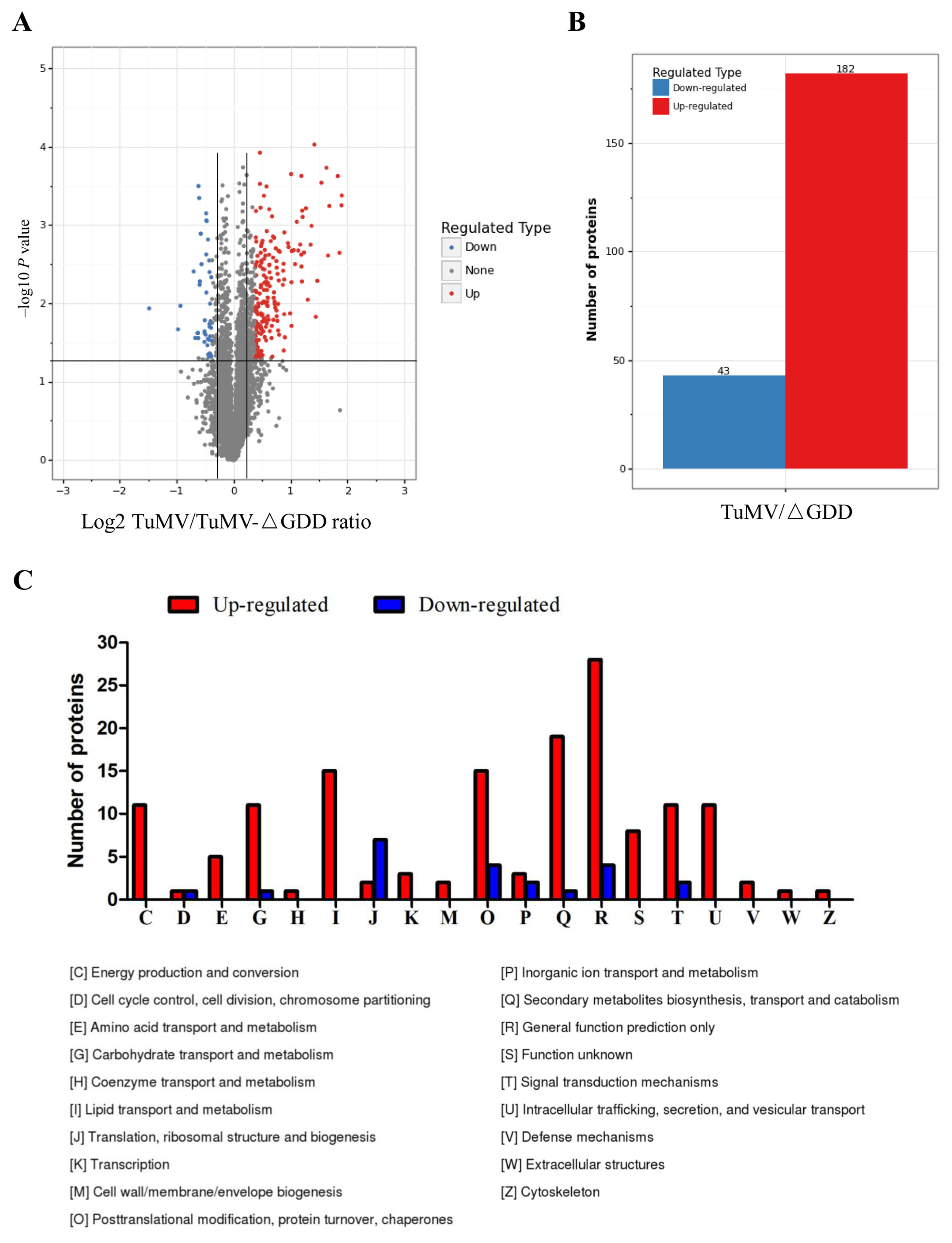 Viruses 15 01401 g002 Viruses 15 01401 g002