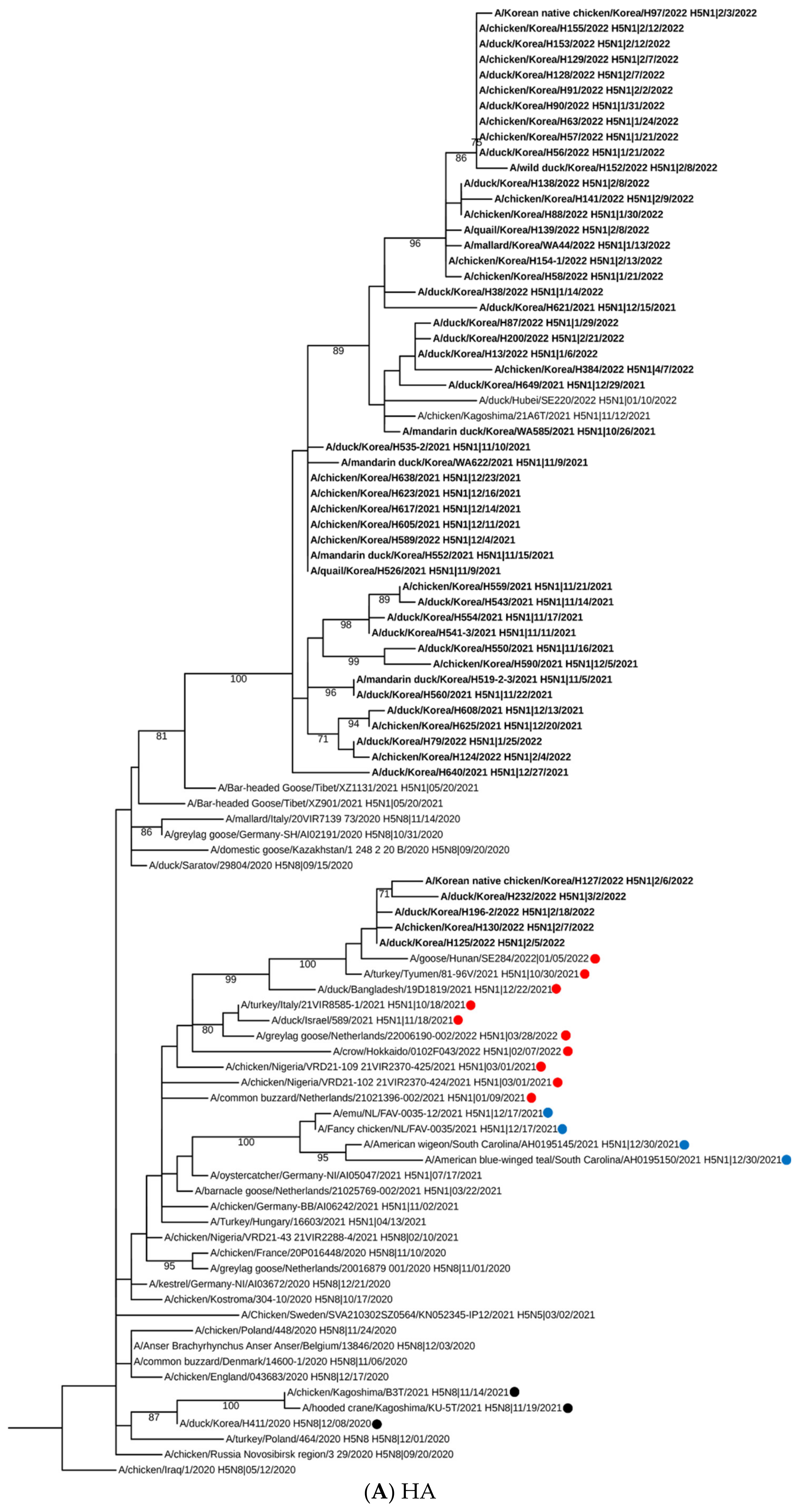 Viruses 15 01403 g001a