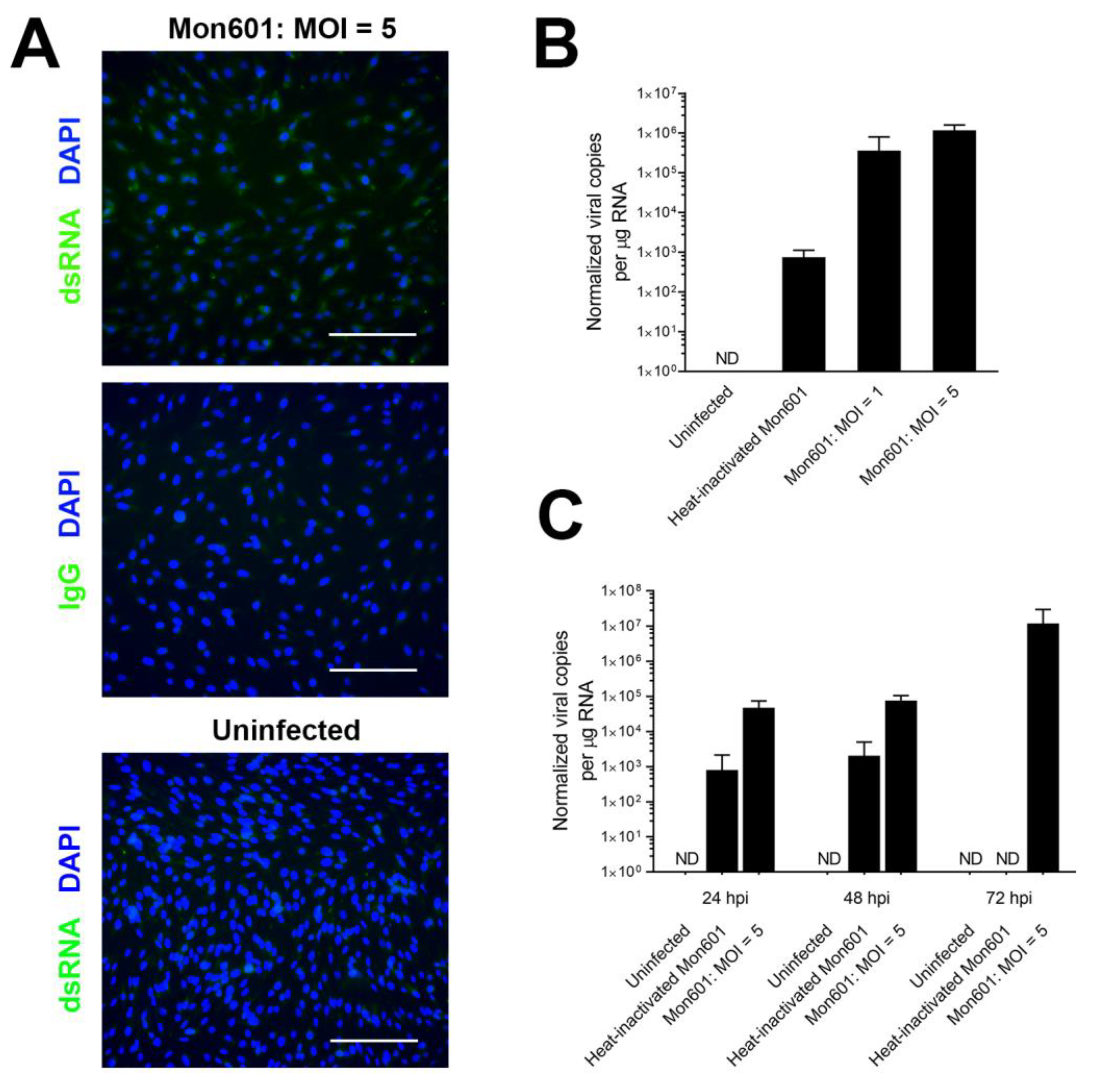 Viruses 15 01410 g001 Viruses 15 01410 g001