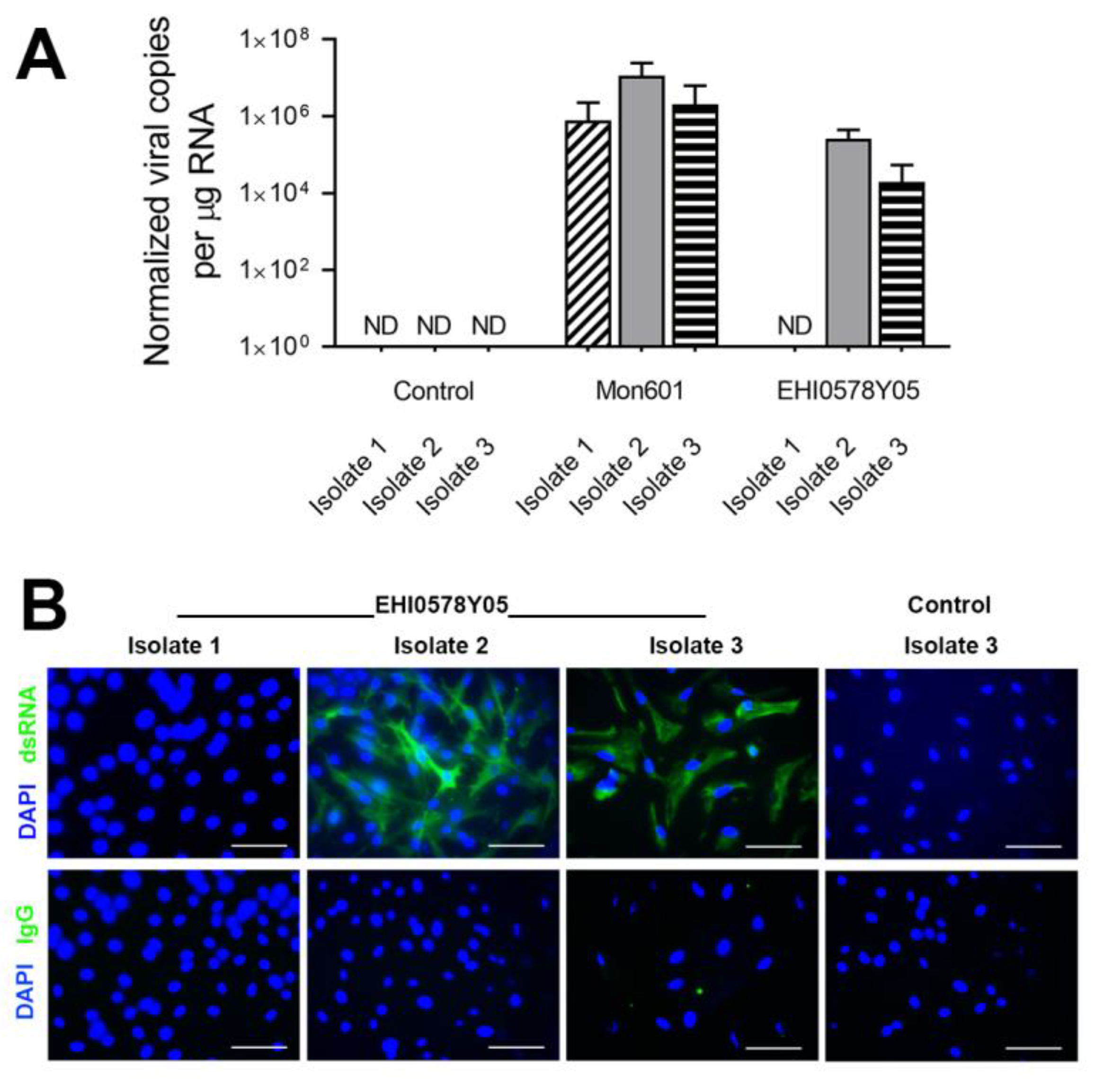 Viruses 15 01410 g006 Viruses 15 01410 g006