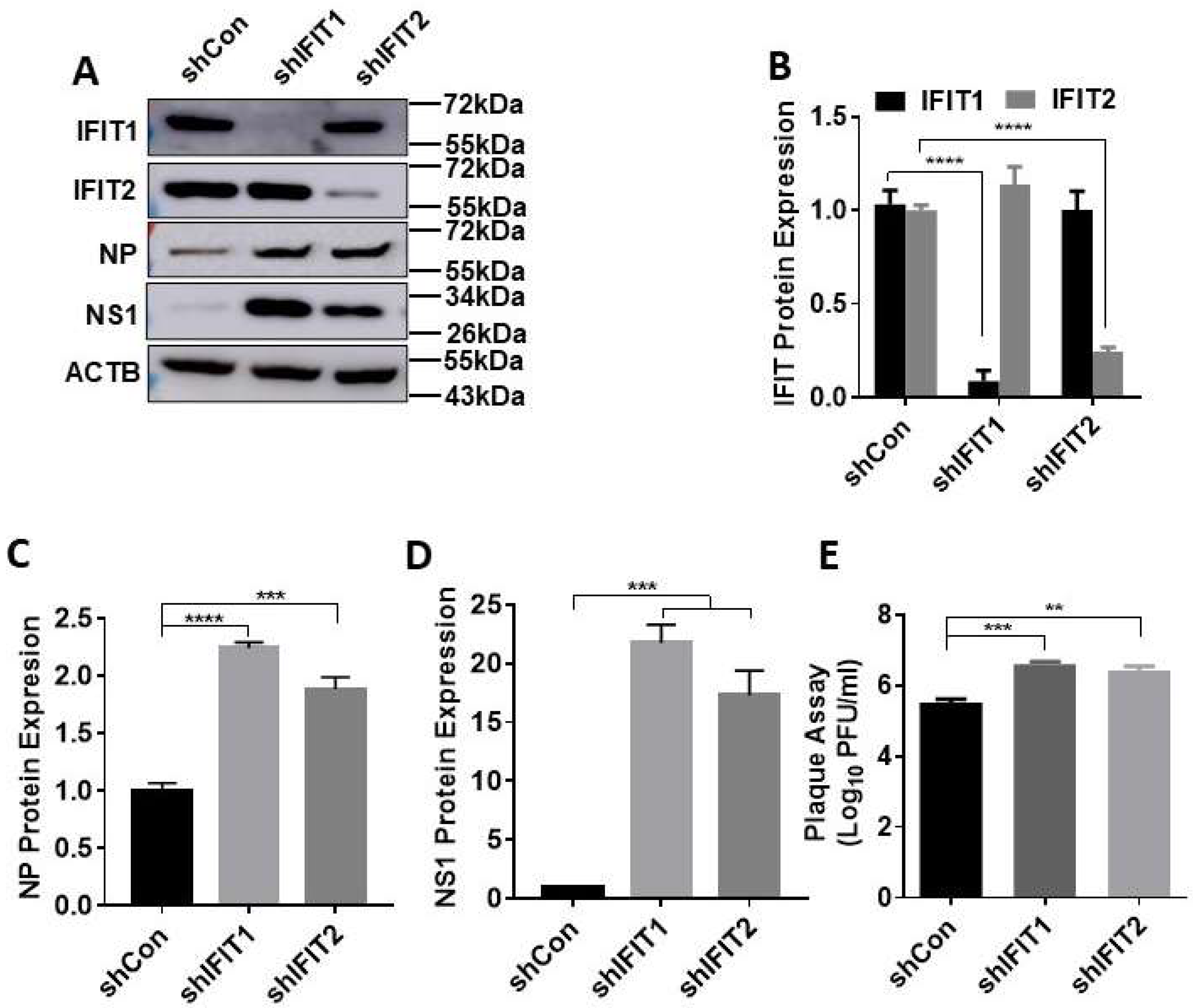 Viruses 15 01412 g002 Viruses 15 01412 g002