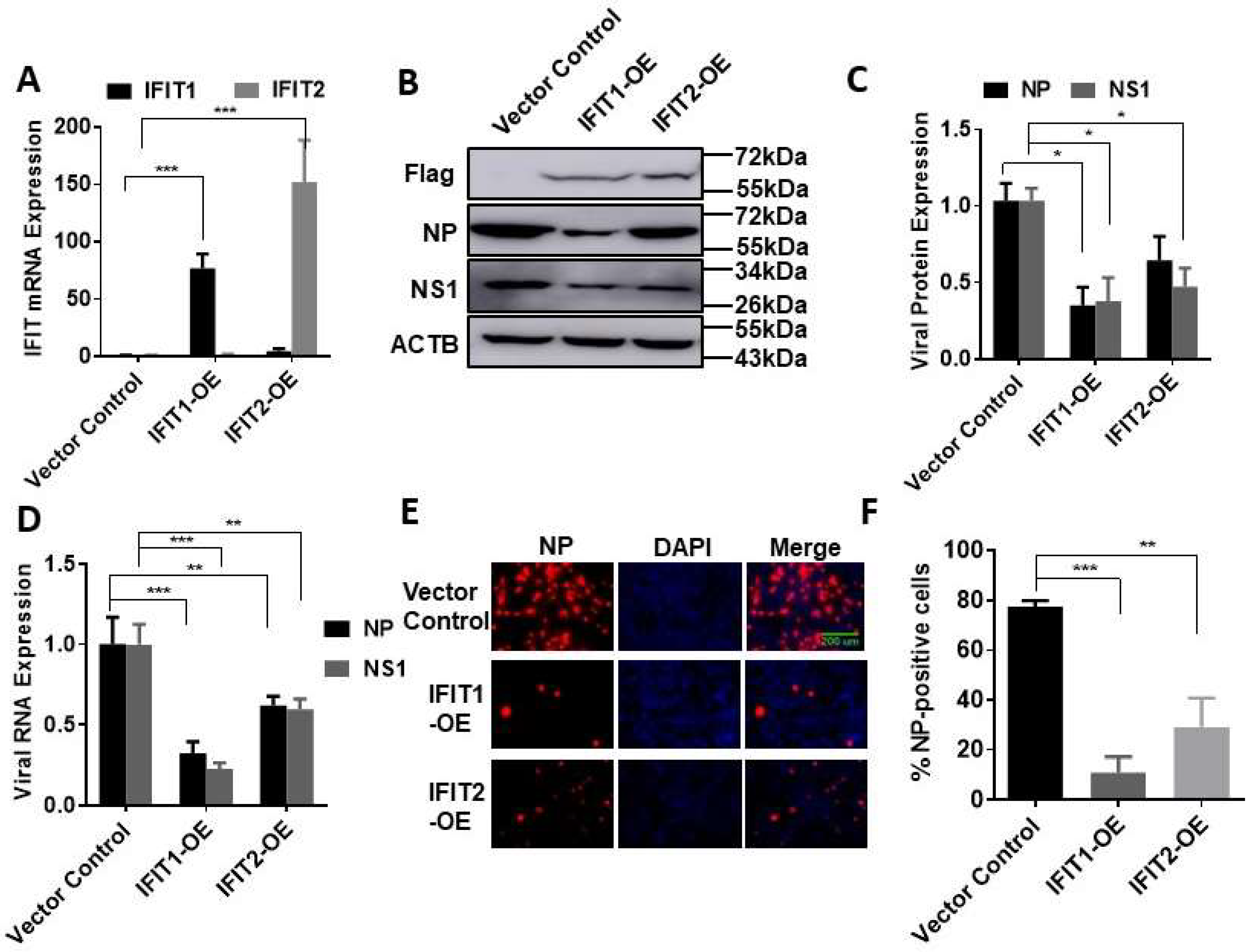 Viruses 15 01412 g003 Viruses 15 01412 g003