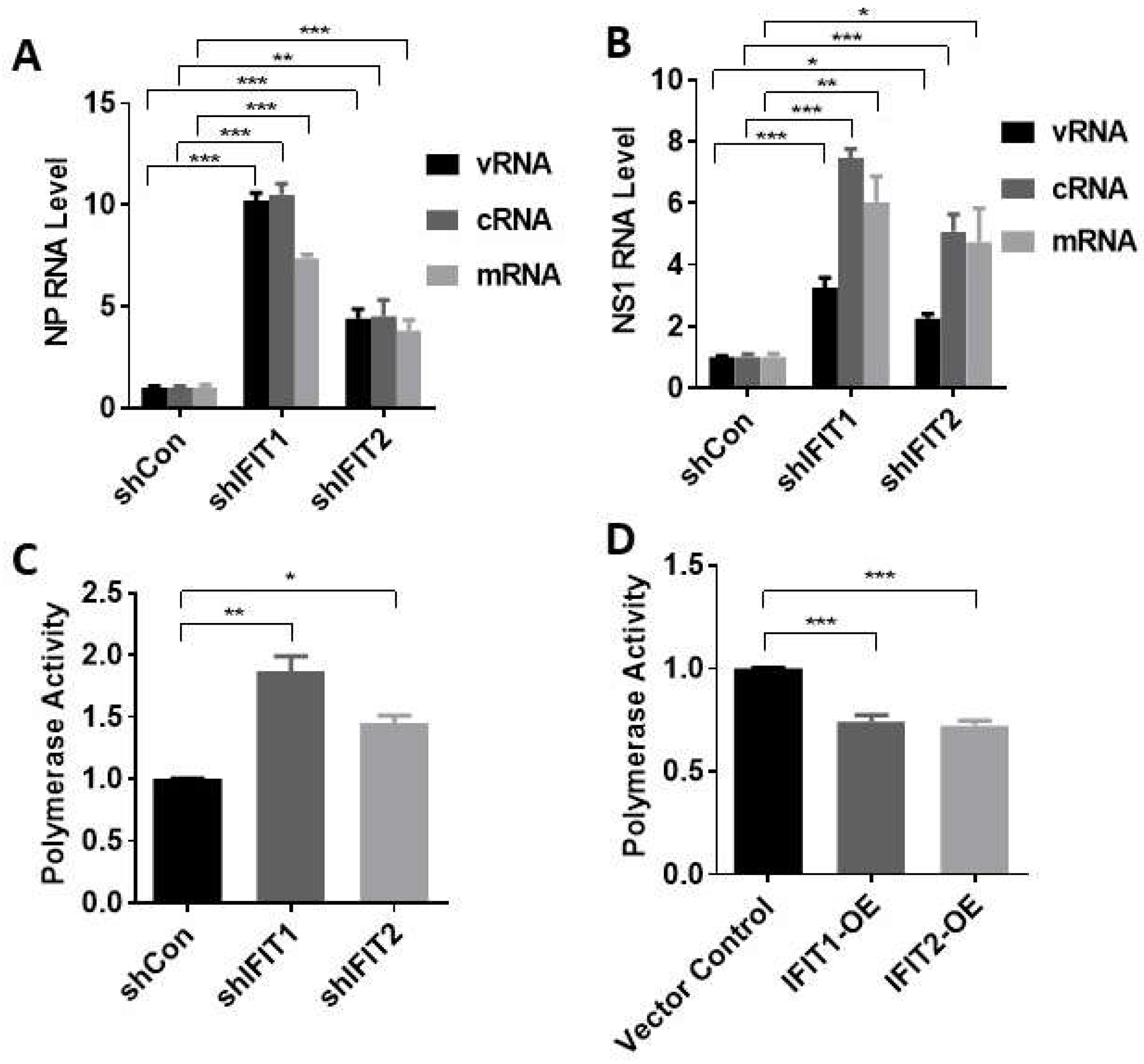 Viruses 15 01412 g005 Viruses 15 01412 g005