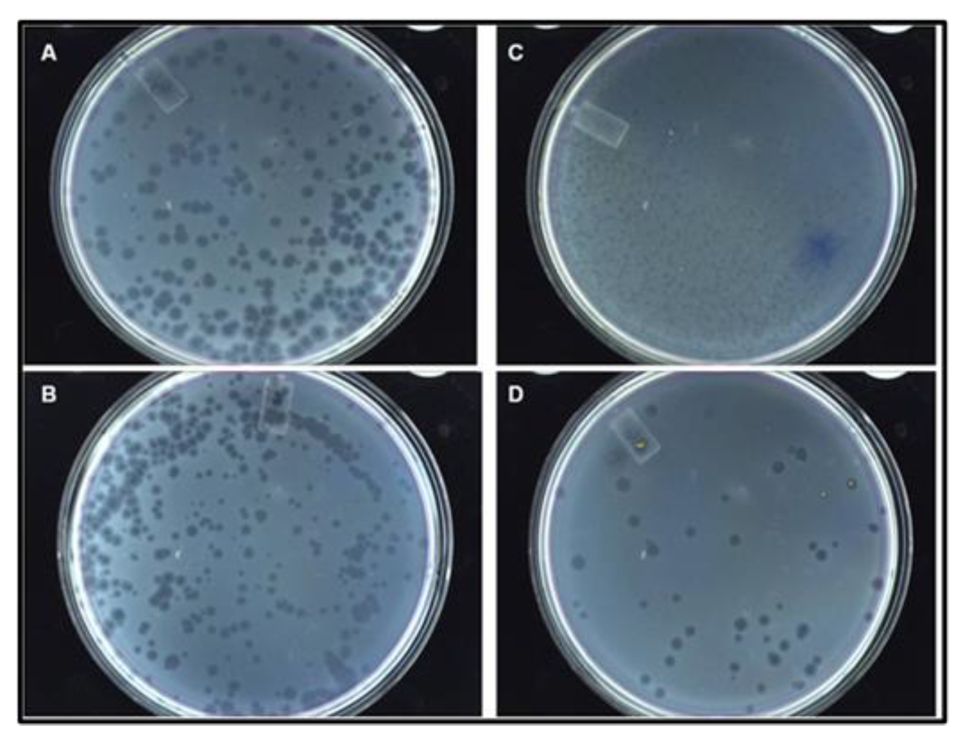 Viruses 15 01414 g006 Viruses 15 01414 g006