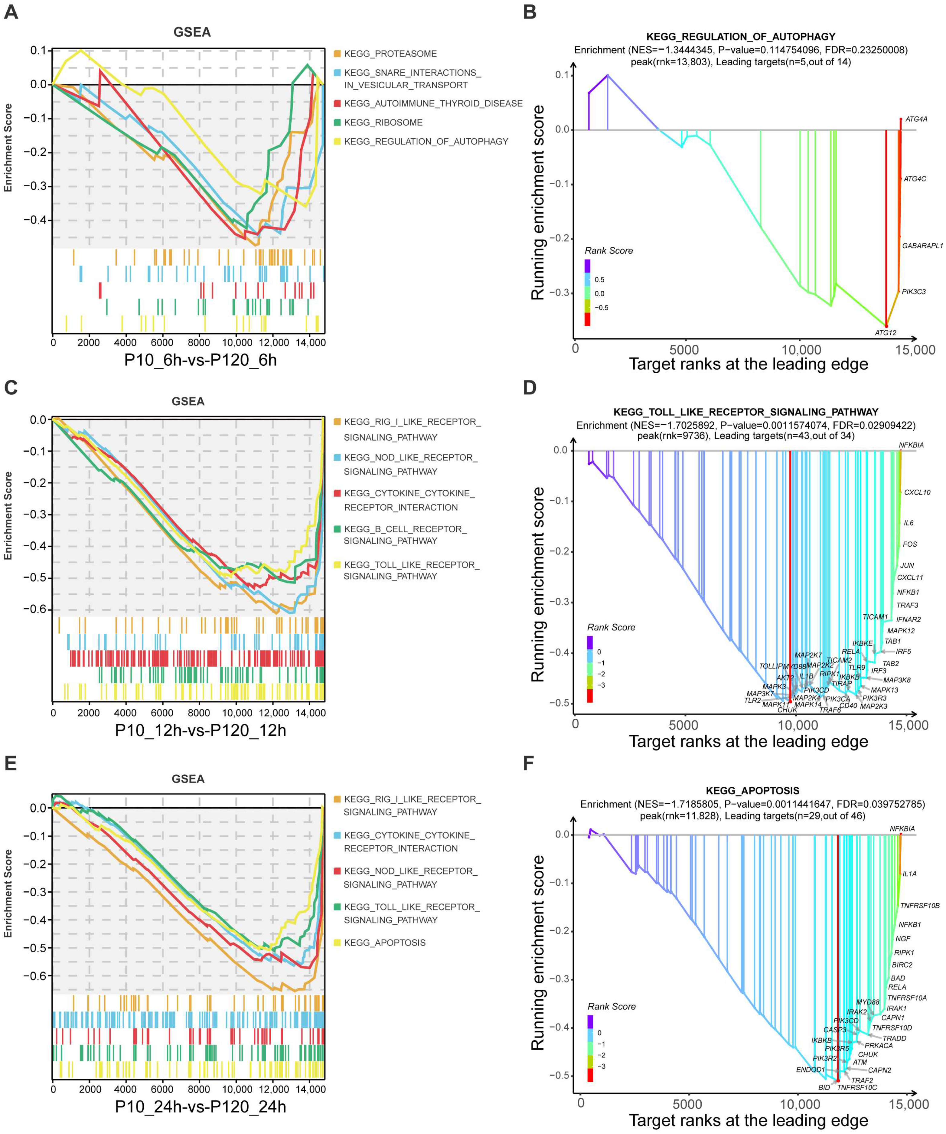 Viruses 15 01426 g006